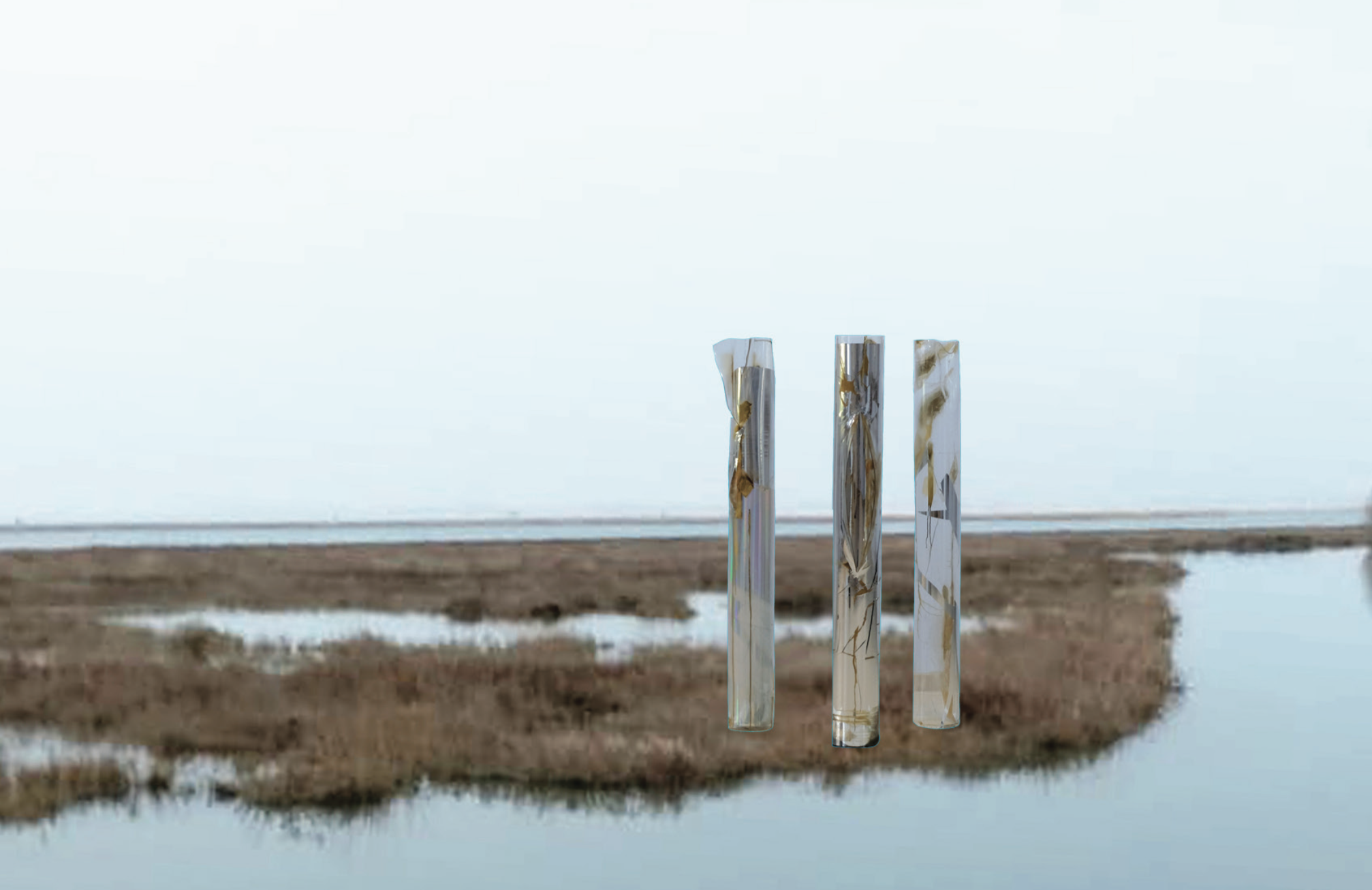 03 Candida Ferrari Volumi e Cromie - progetto installazione in barena render a cura di Candida Ferrari e Artlife For The World