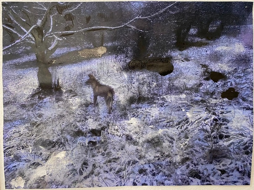 1. dalla serie planizaria_anno 2020_tecnica olio e paastelli su carta(10)