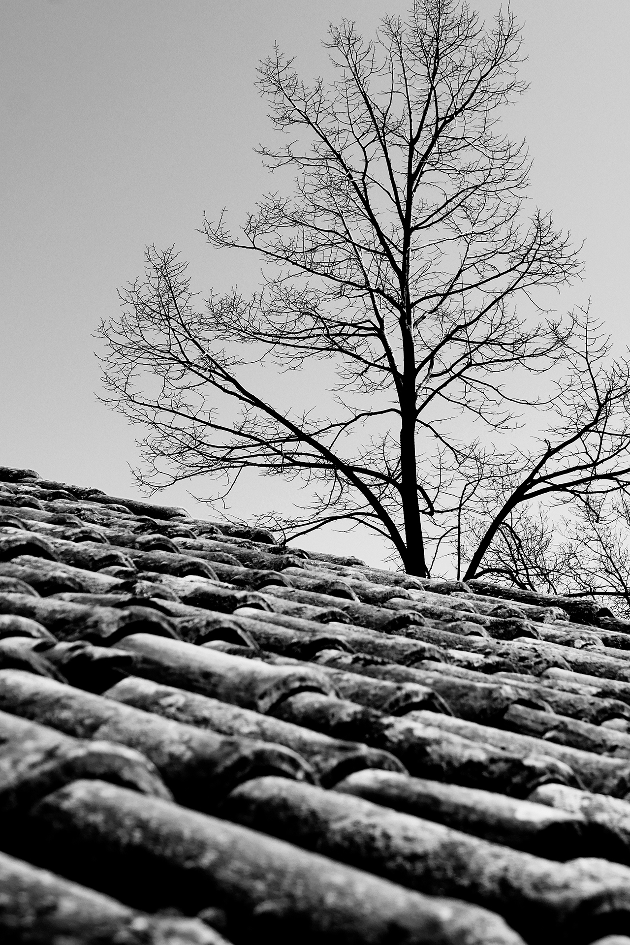 10_francesco_pennisi_respiro_2022_giclée_100x150_courtesy_Francesco_Pennisi