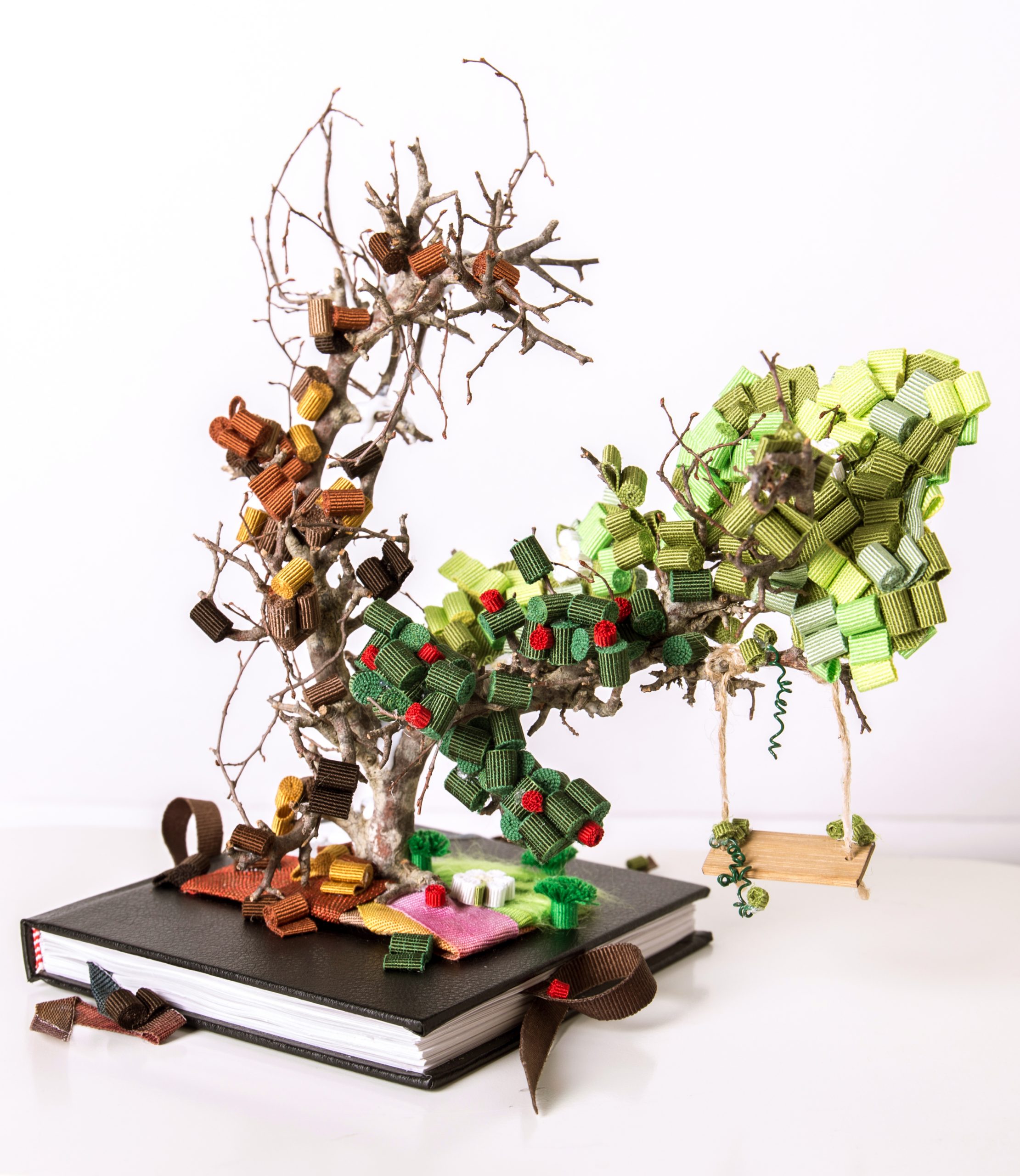 2 maria anastasia colombo