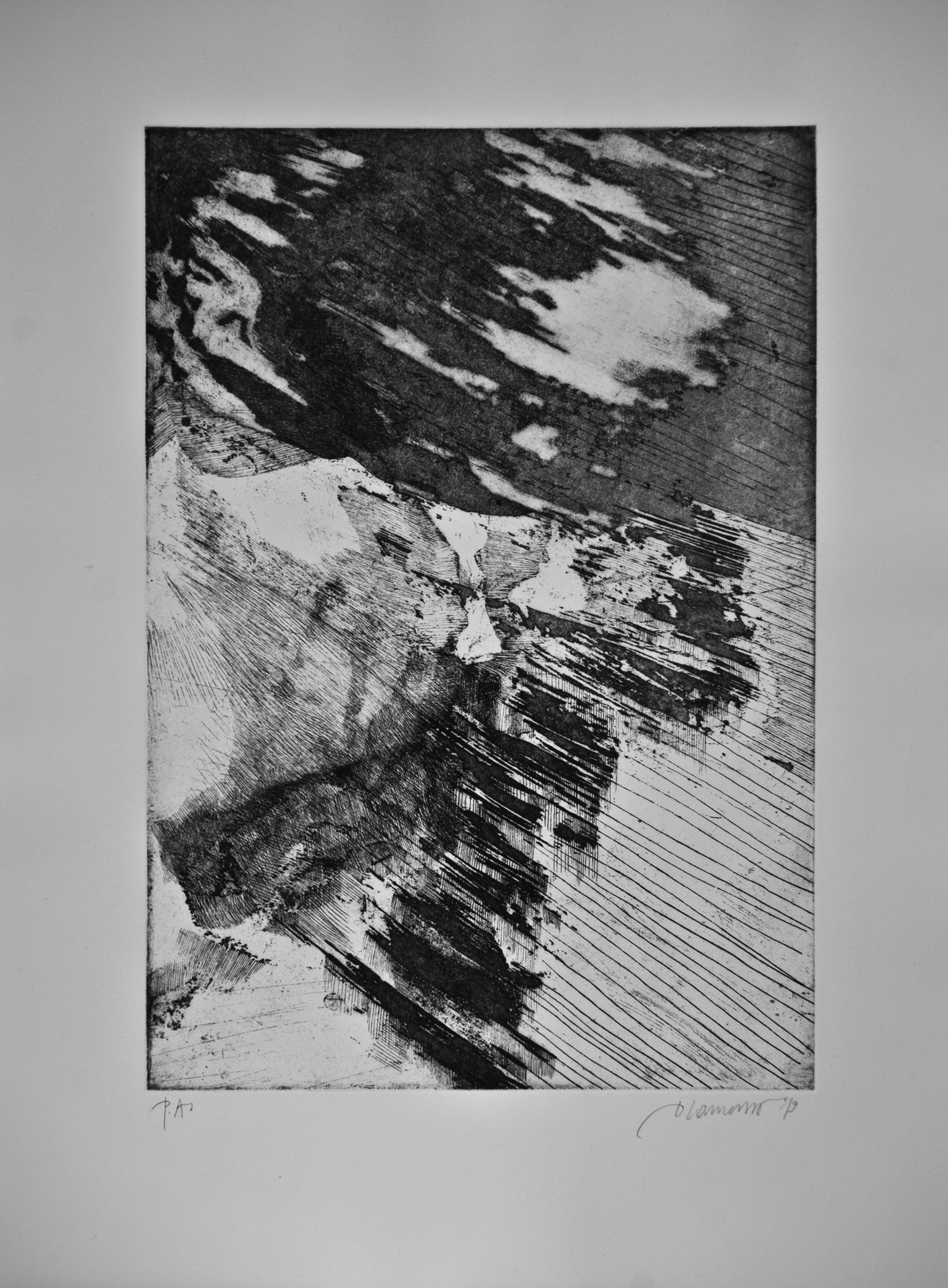 2_Donatello Laurenti_Ipergea carsica_2019