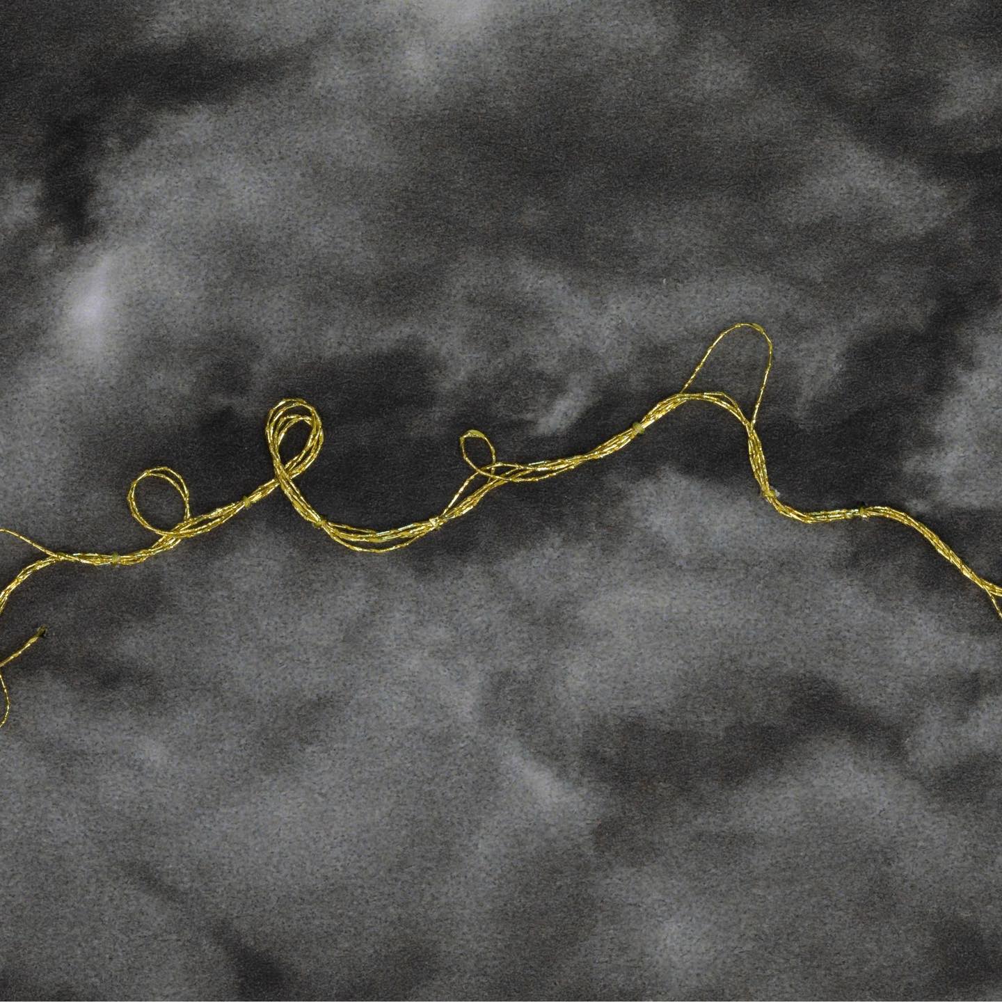 443862218_1048513353370993_3407245789554406126_n