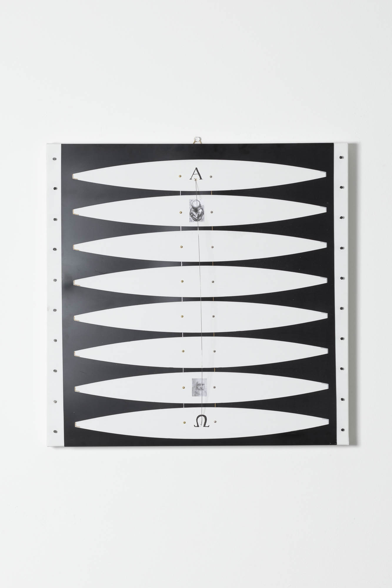 A. Pellicani, Alfa e Omega, 2019