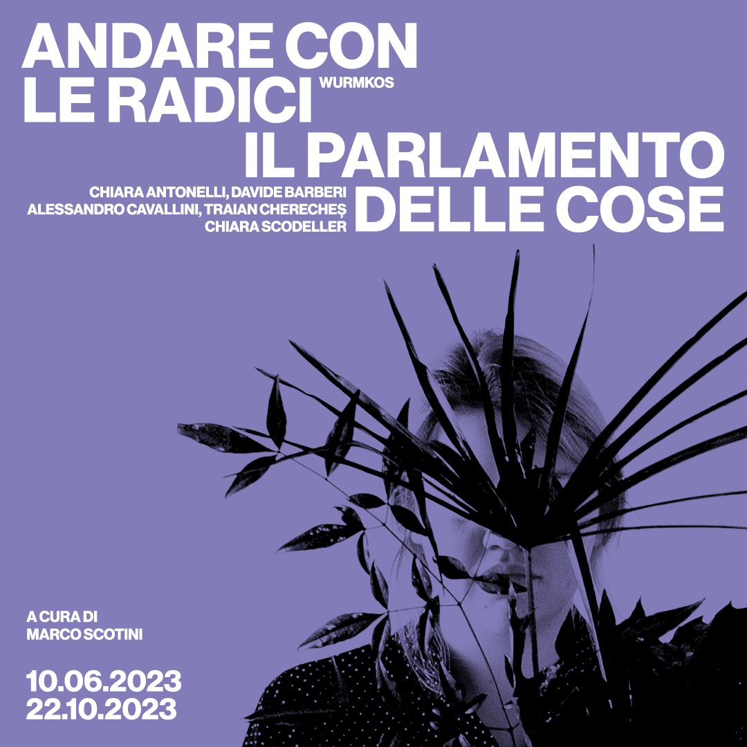 Andare con le radici_Post 1080x1080px