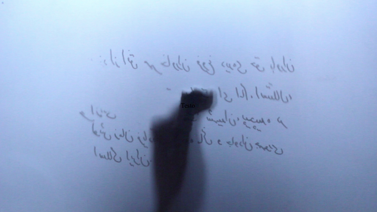 Andisheh Bagherzadeh, Palinsesto