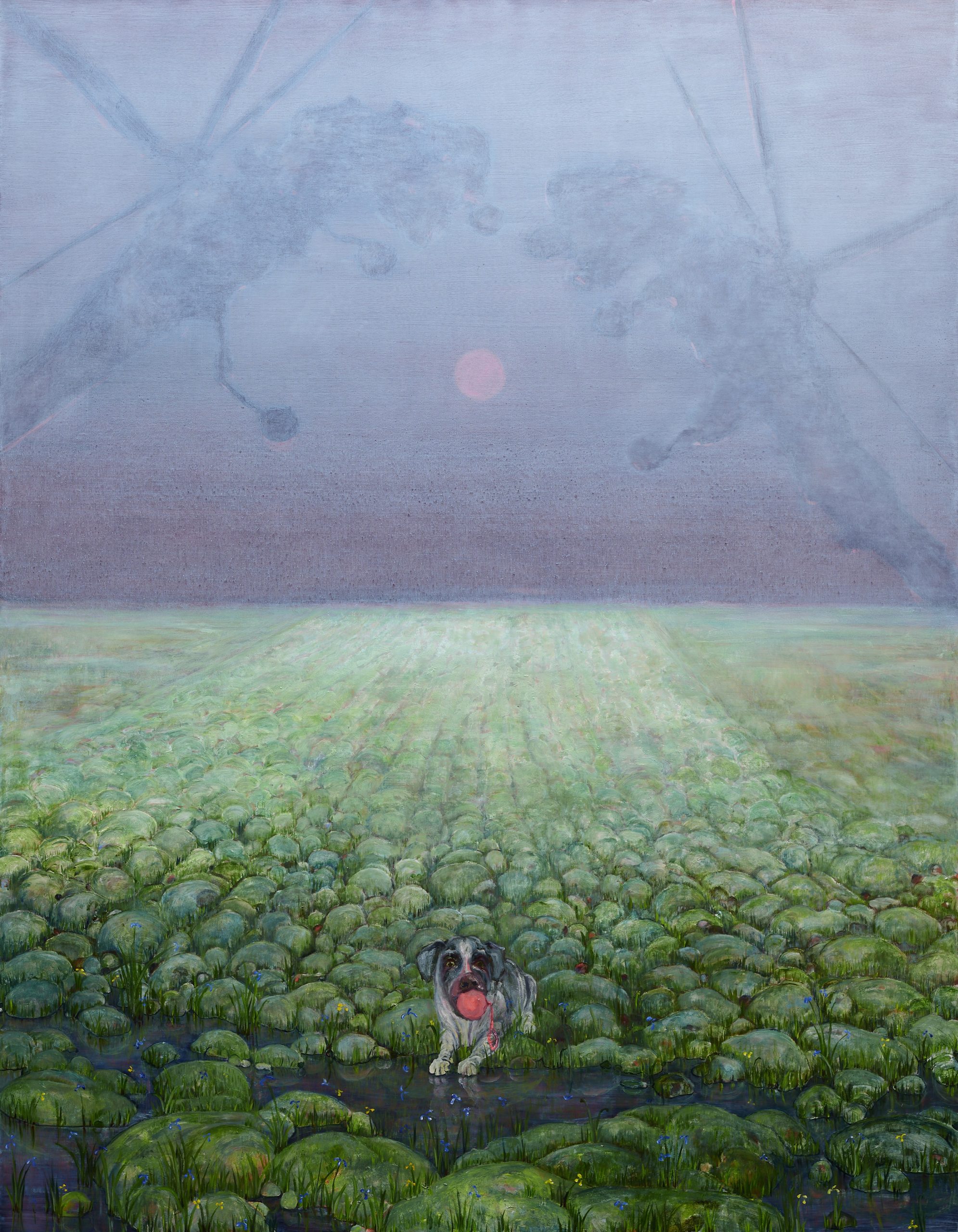 Andriu Deplazes | img guida