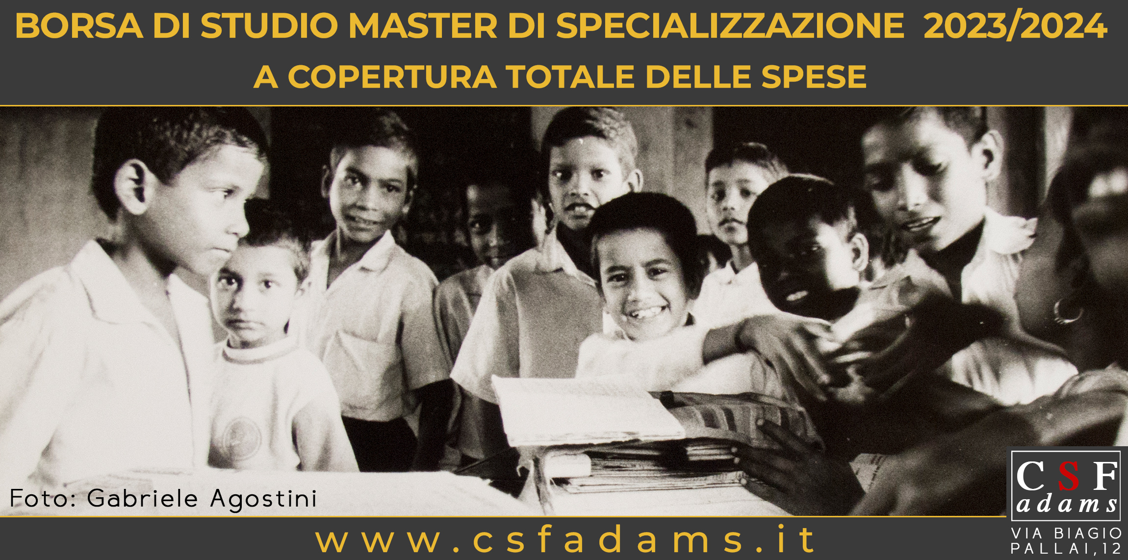 Borsa di studio banner