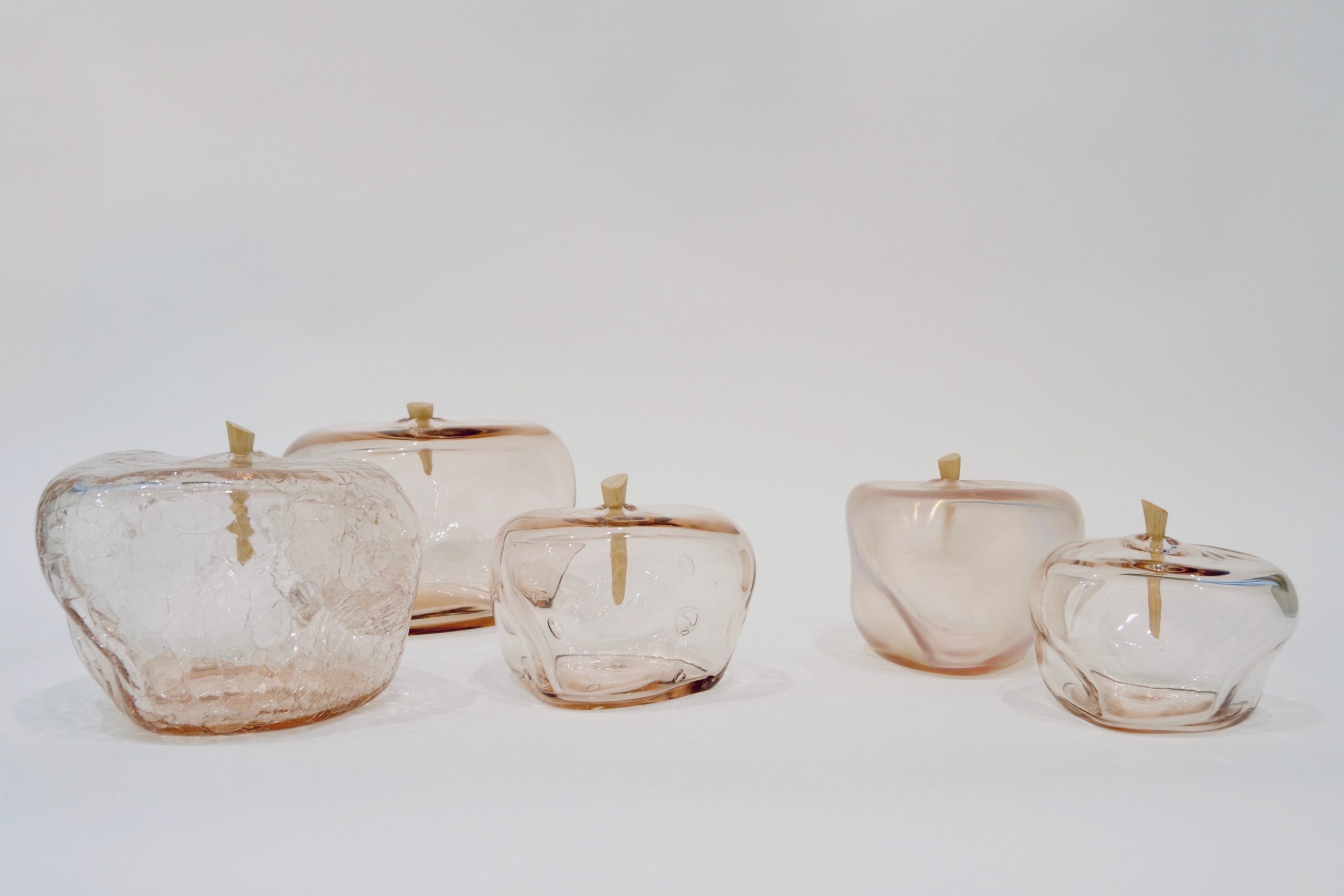 Bulbo_rosa (1) copia