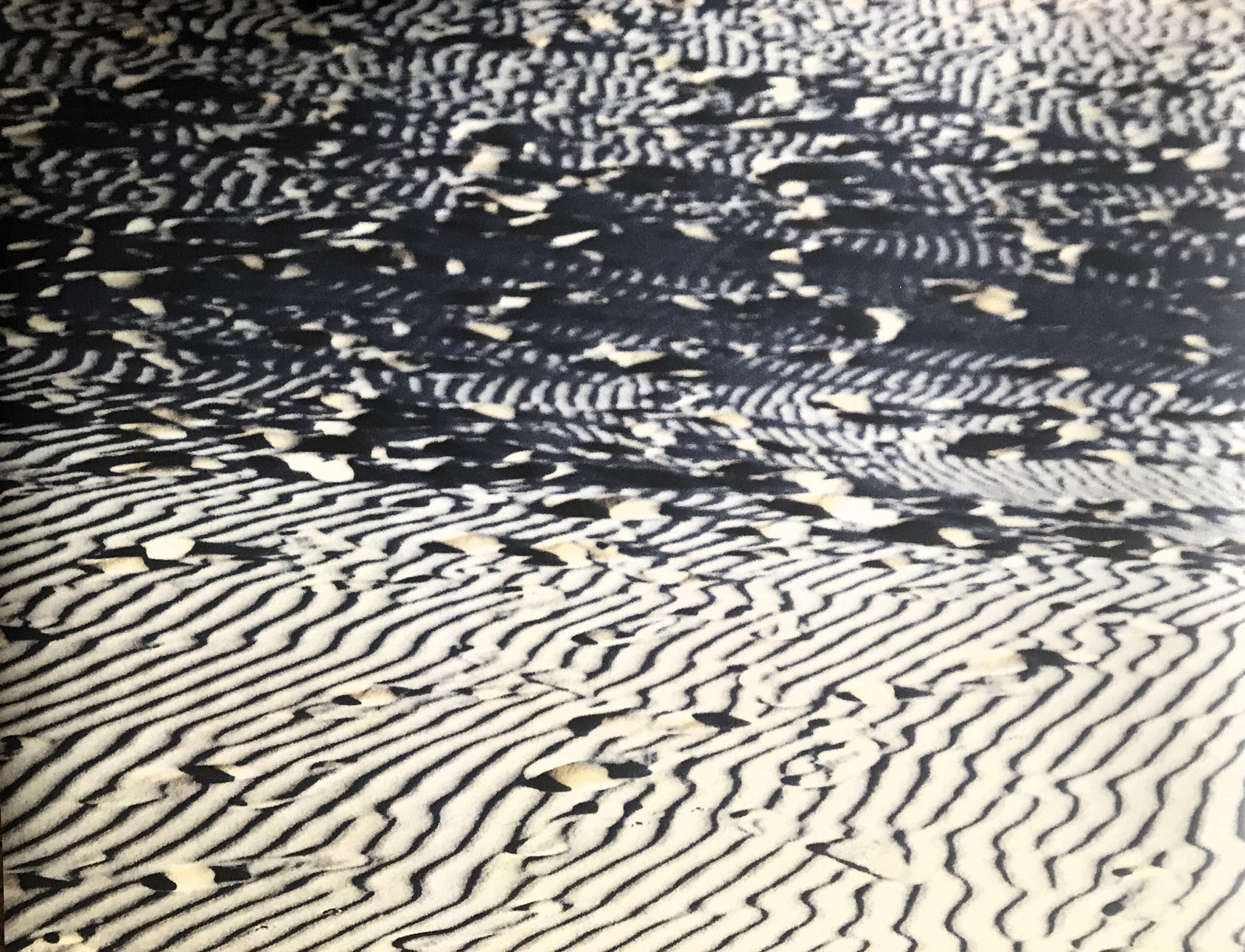 CAROLINA GOZZINI_INCROCI_4_2_24