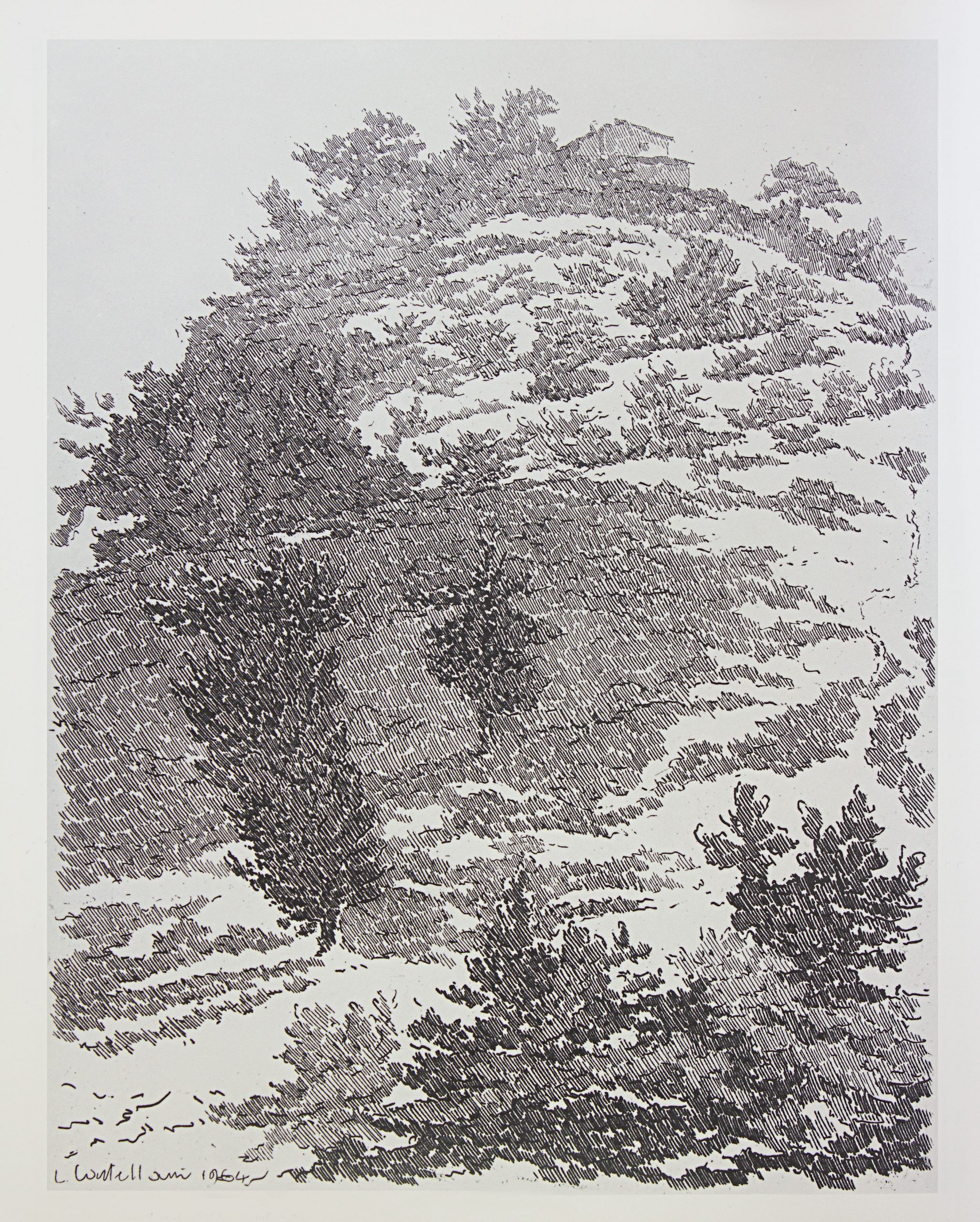 Castellani, Il podere abbandonato, 1964, acquaforte -