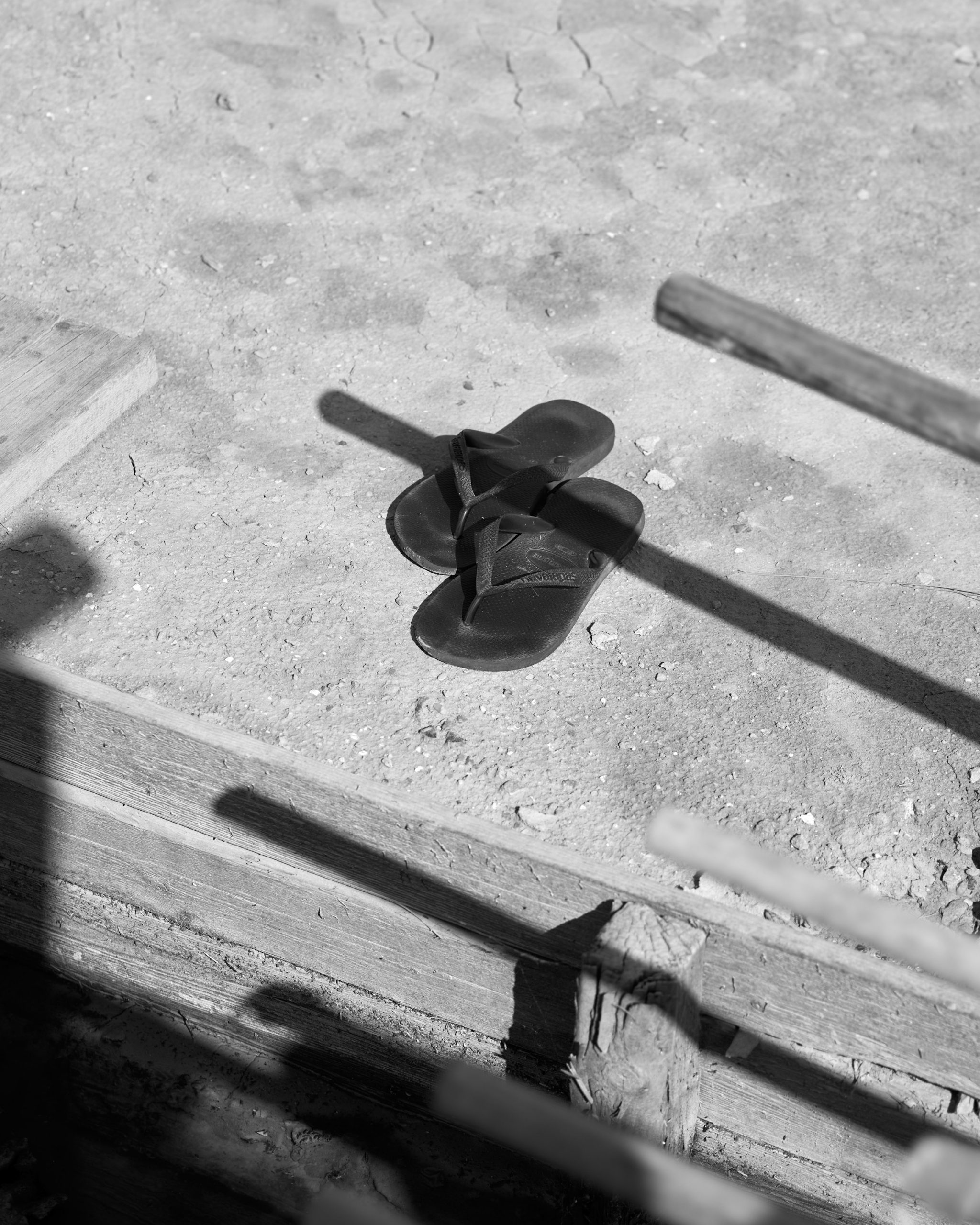 Cervia, saline, 2024_MBU0742