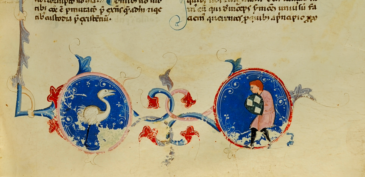 D XXV 1 particolare (1)