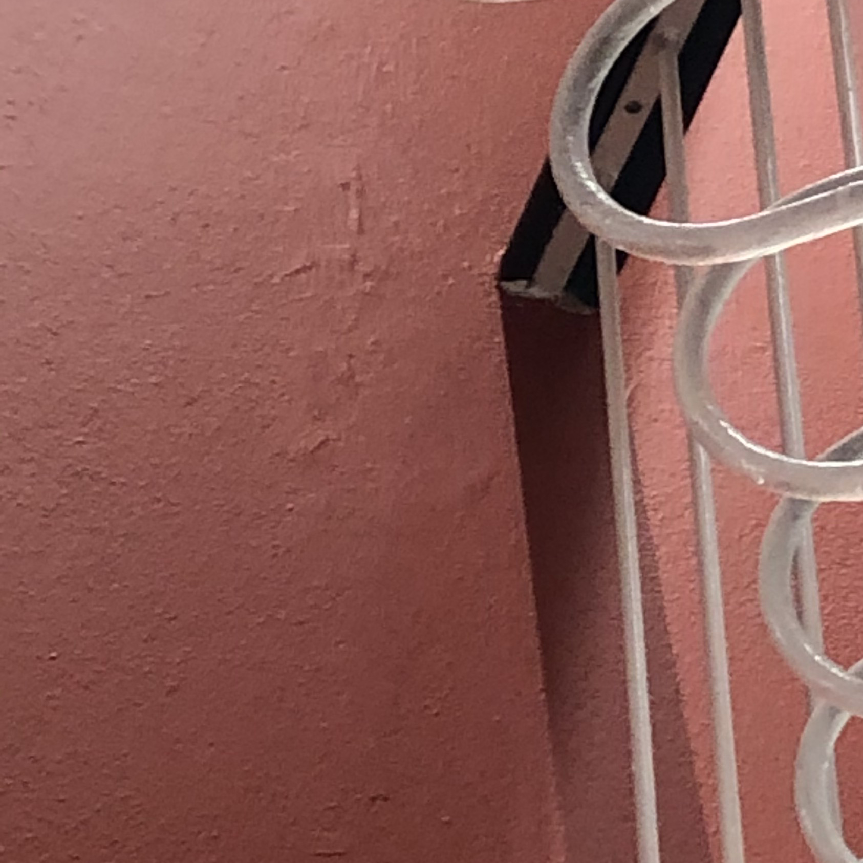 D'ISTANTE_Katharina Stepper_