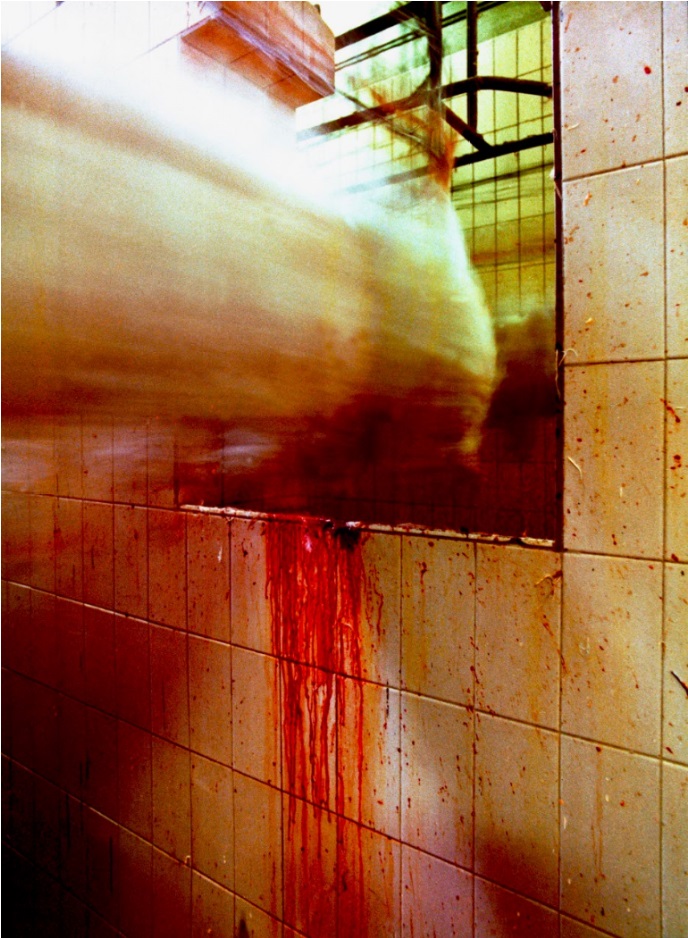 Dal Gal - Chicken Story 1