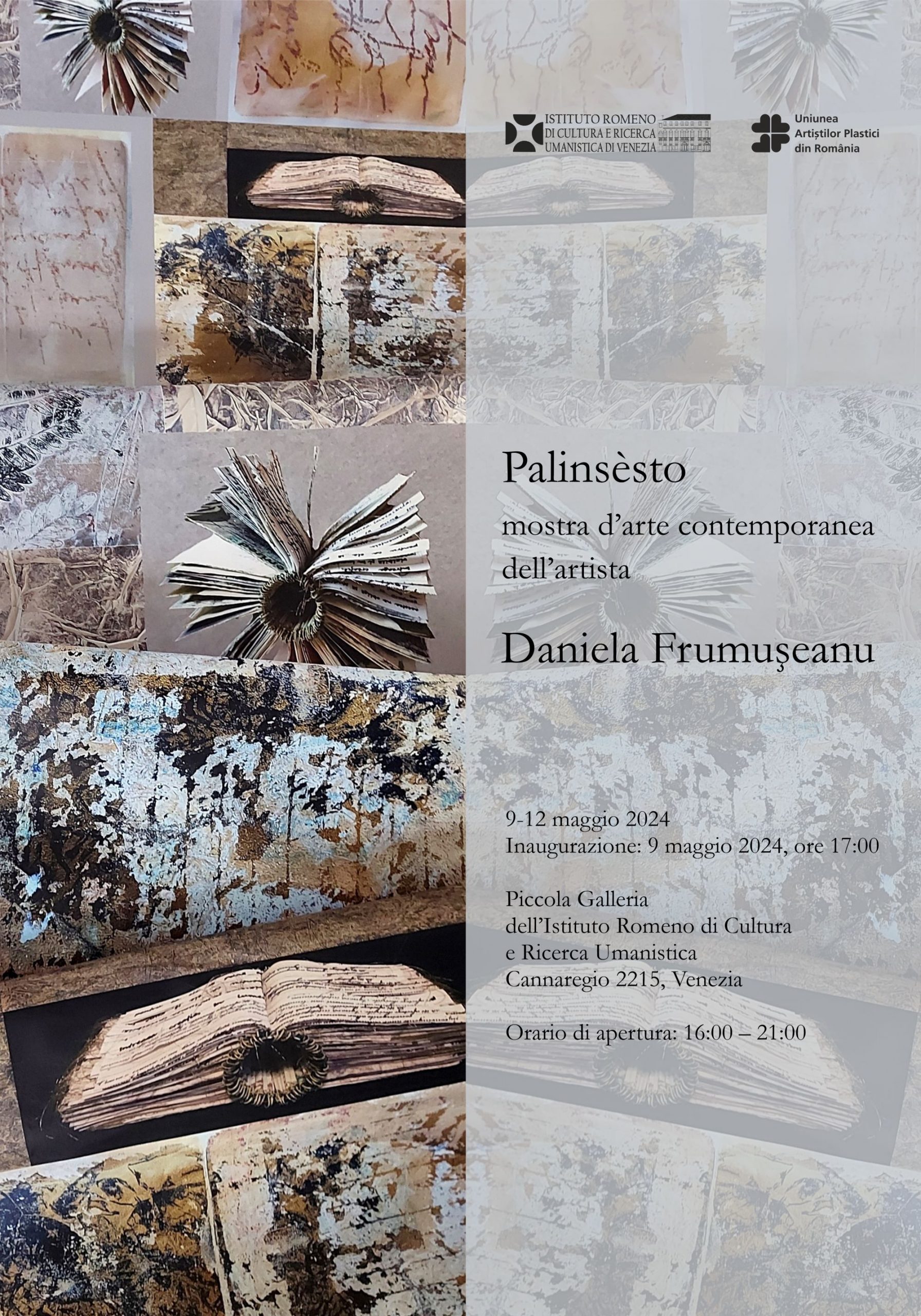 Daniela Frumuseanu - Palinsesto