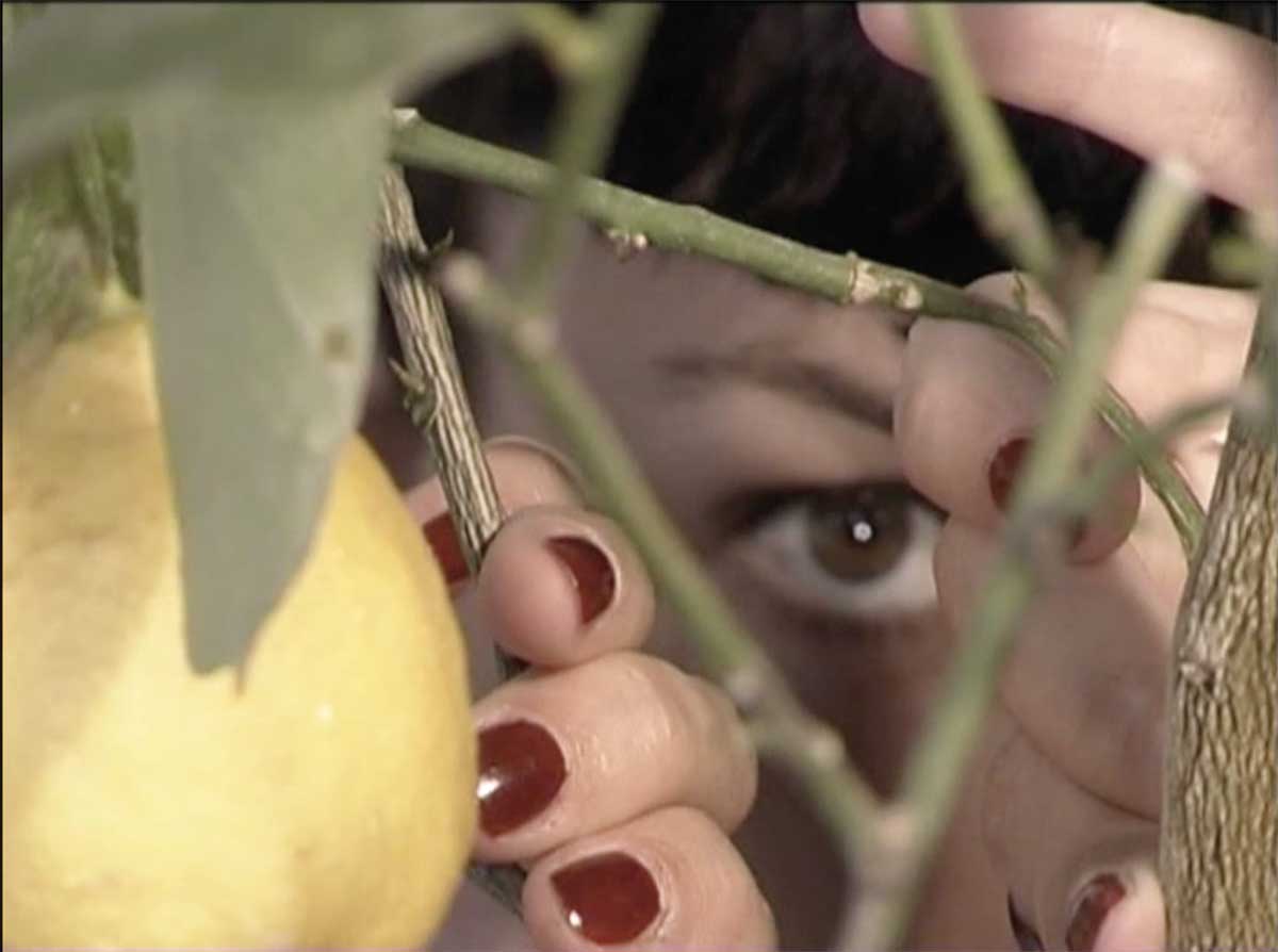 Delfina Marcello, Love Accessories, still da video, 2002