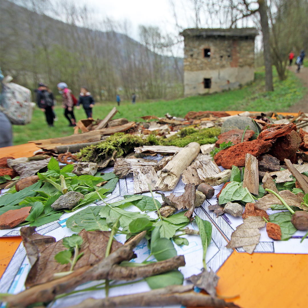 Esaportale_laboratori_6