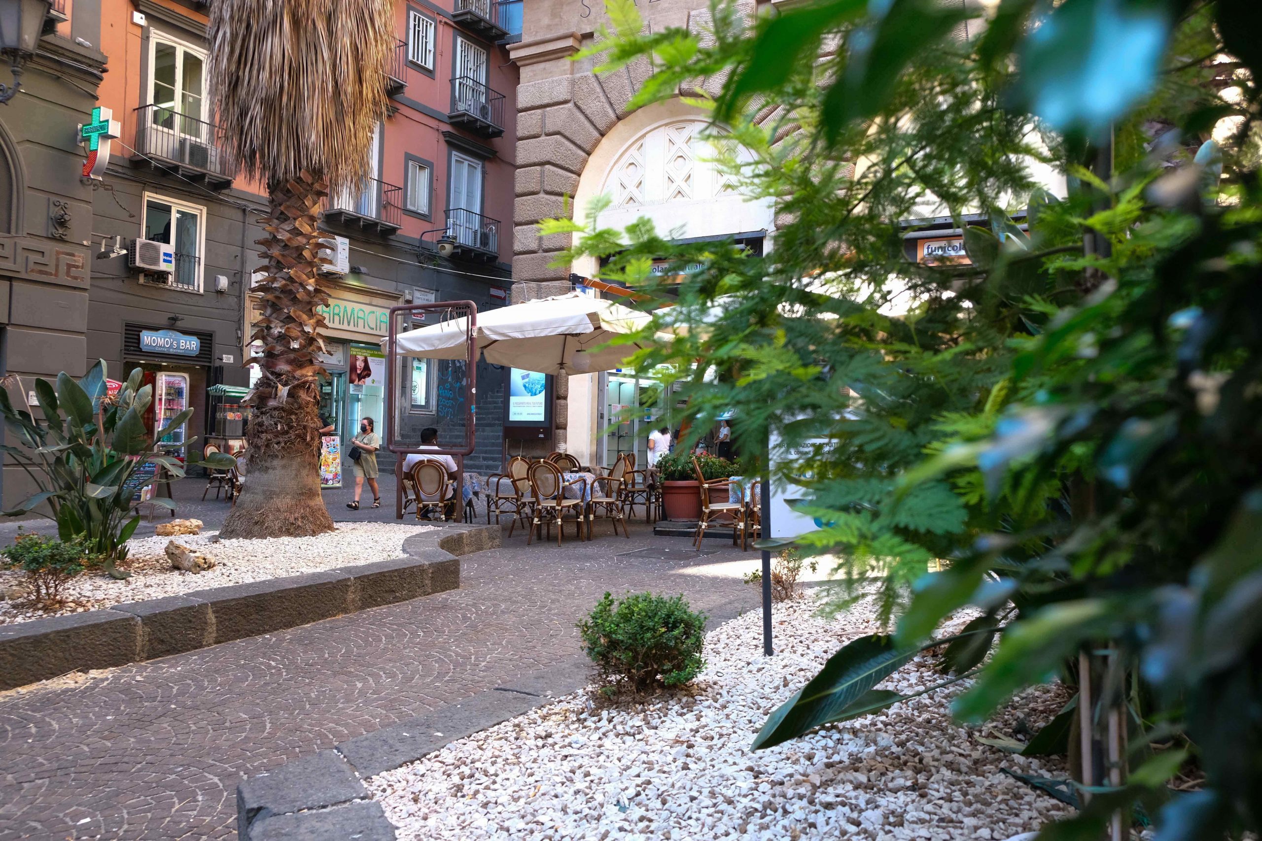 Farmacopee_Piazzetta