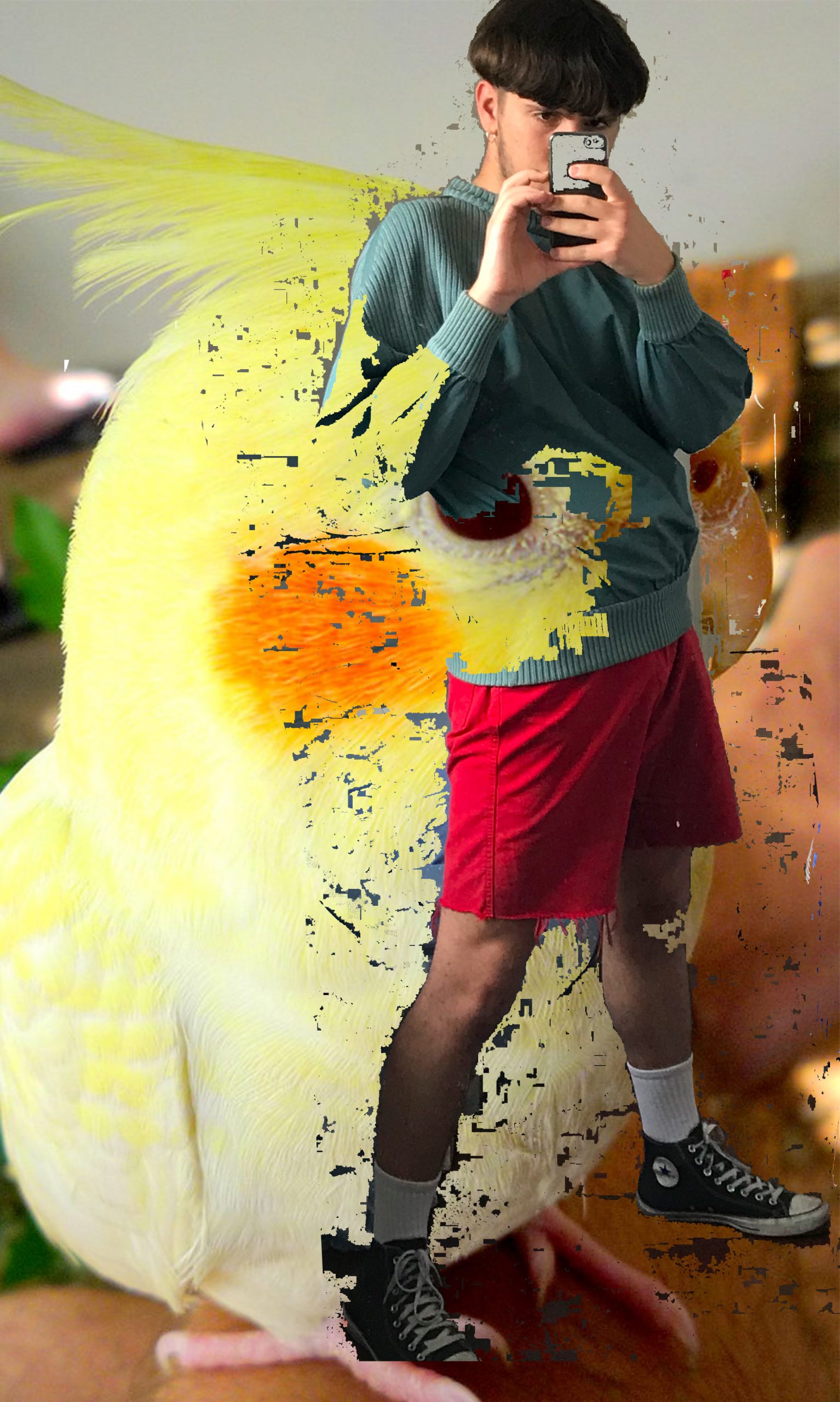 Filippo Montanini, Filippa, 2020