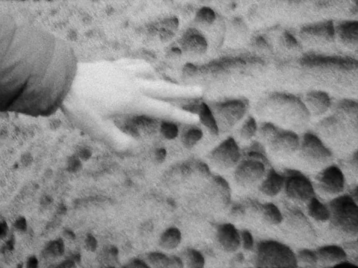 Frederikke Jul Vedelsby, Zynthia (2022)