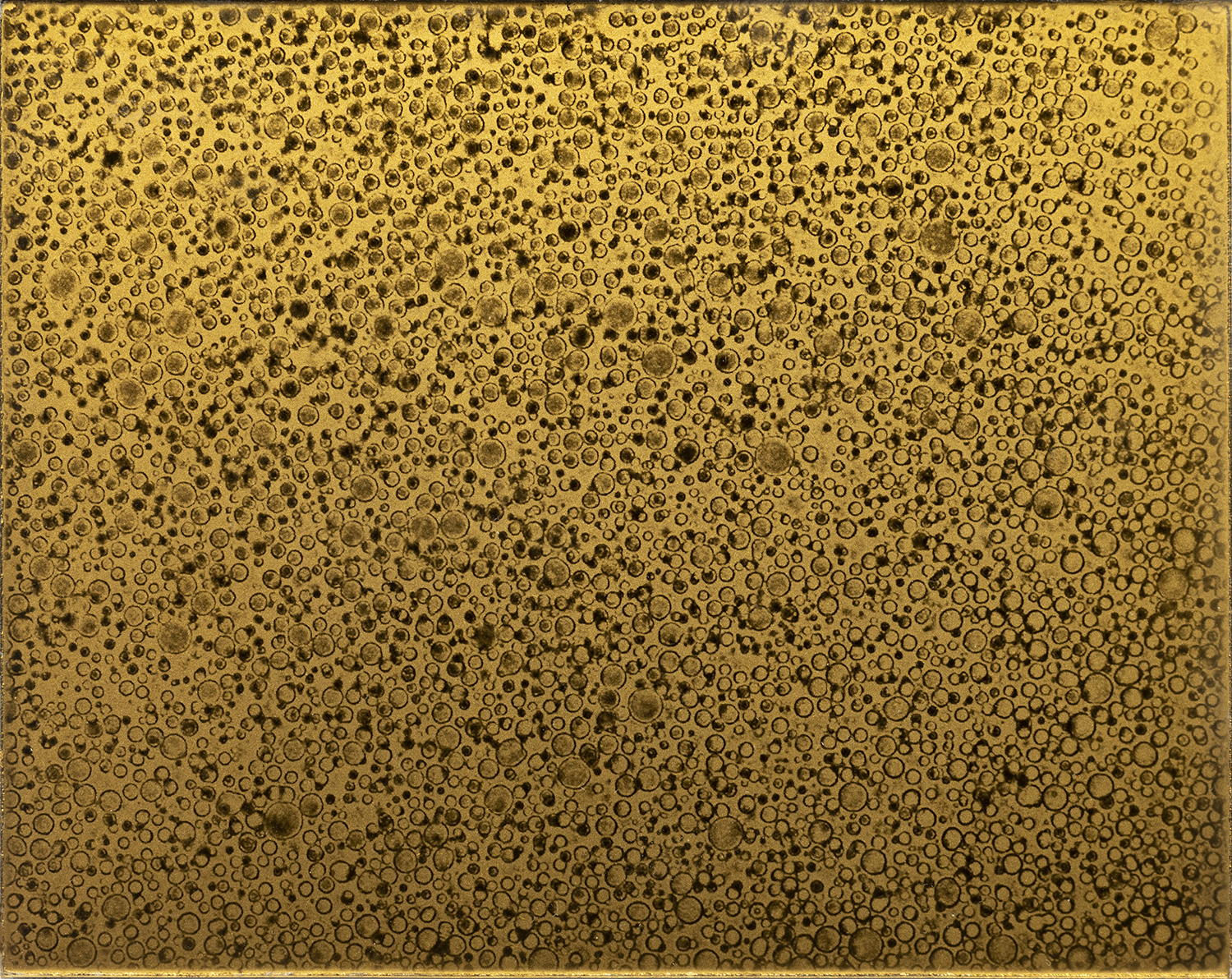 Giulia Iacolutti, The Golden Liquid, 2024