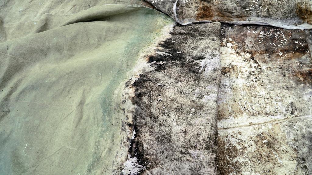 Installazioni naturografie trasimeno_dettaglio_ph. Mara Predicatori