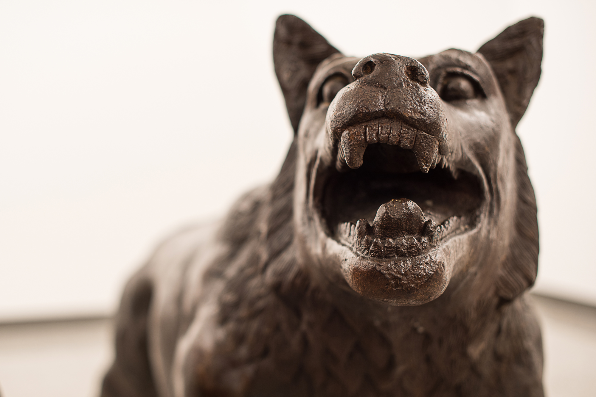 LIU_Ruowang_Lorenzelli_31