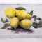 Limoni incisione ripresa e acquerellata