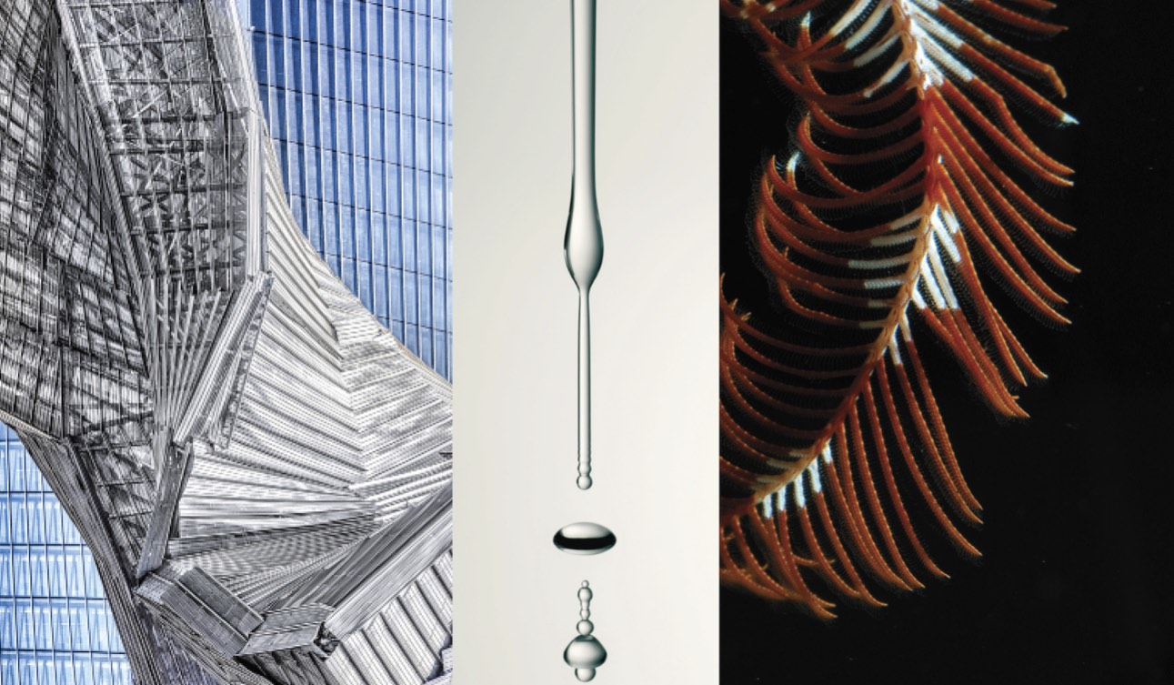 Locandina Photofestival 2021 copia - Version 2