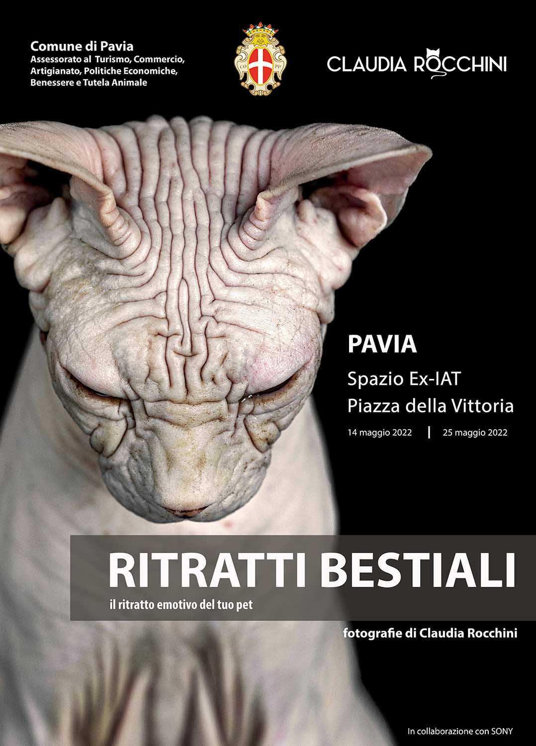 Locandina Ritratti Bestiali web