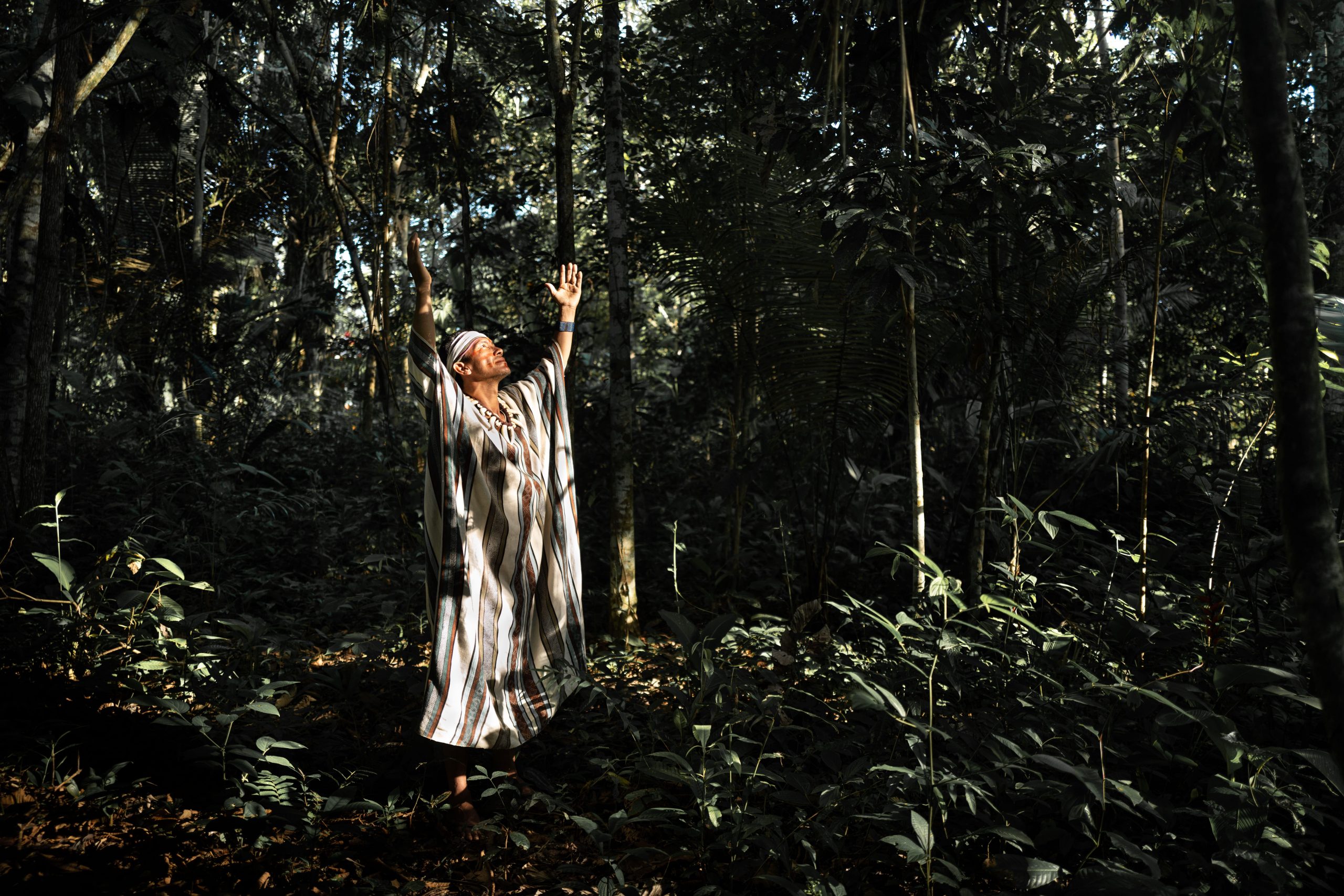 Main_©Nicoló Lanfranchi_The Forest Knows (1)