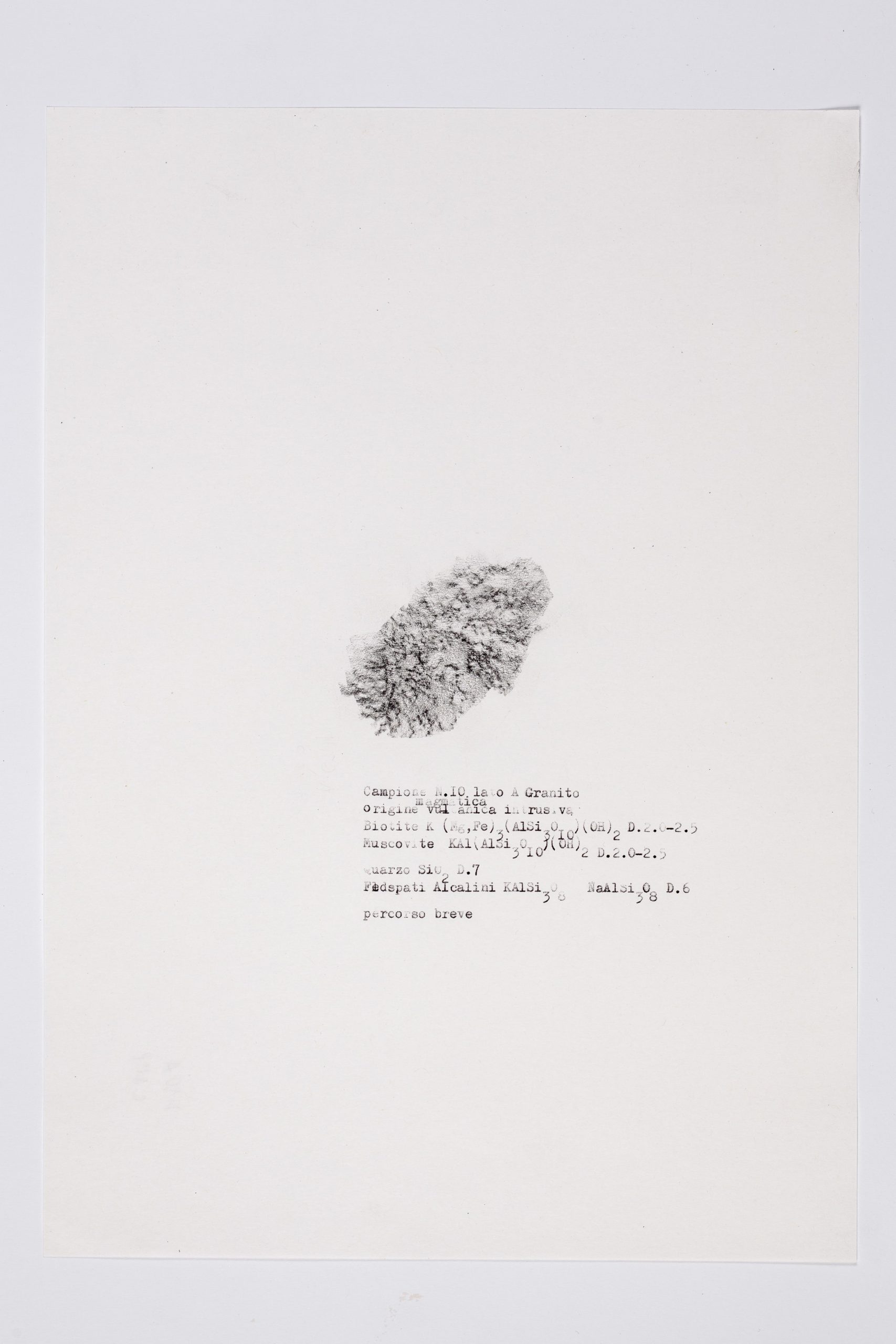 Mariateresa Sartori, Frottage Sample N. 10, side A, graphite on paper, 29x21cm, 2016 © Mariateresa Sartori, Galleria Michela Rizzo, Galleria Studio G7. Photo by Francesco Allegretto-min - smaller