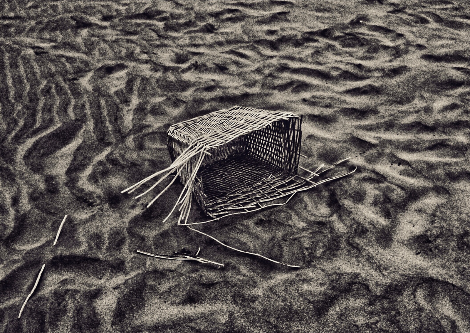 Mostra di Alessandro Bassani - Festival Europeo della Fotografia (1)