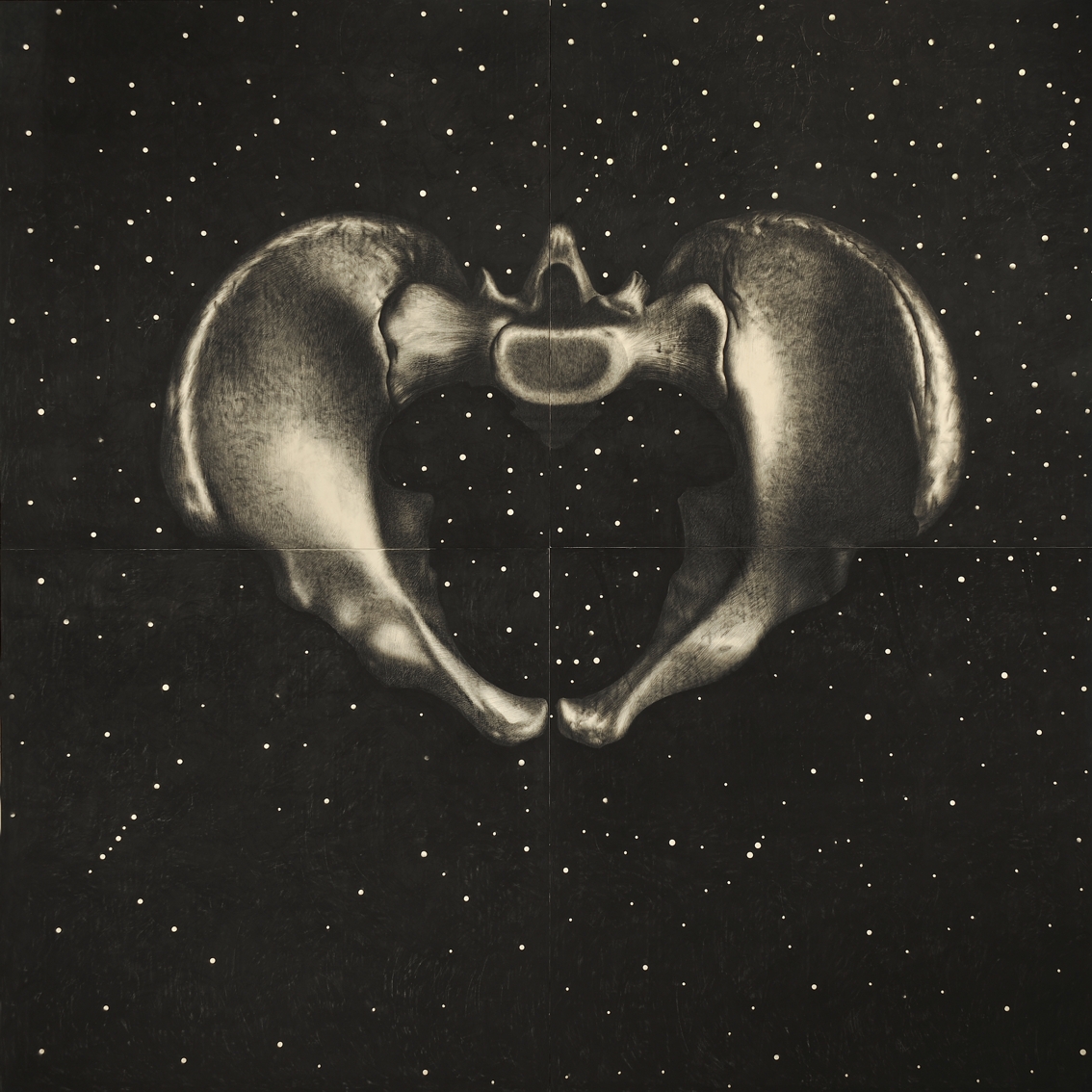 Omar Galliani, Cassiopea, 2014, matita su tavola, cm 400×400