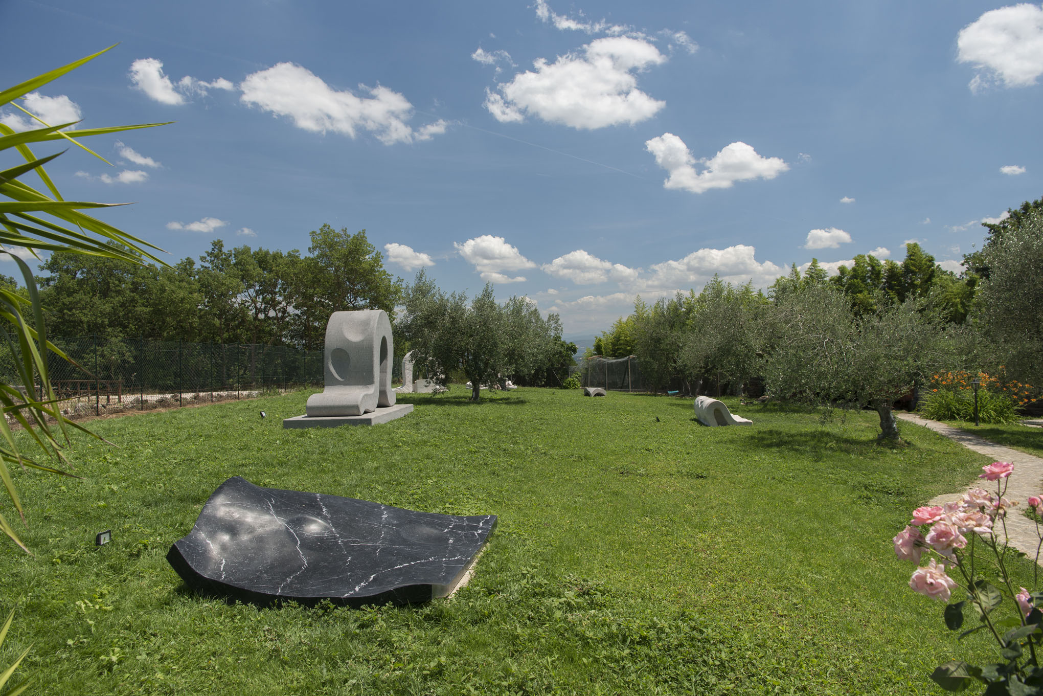 Panoramica SIC. Courtesy Sculture in Campo. Foto Giorgio Benni