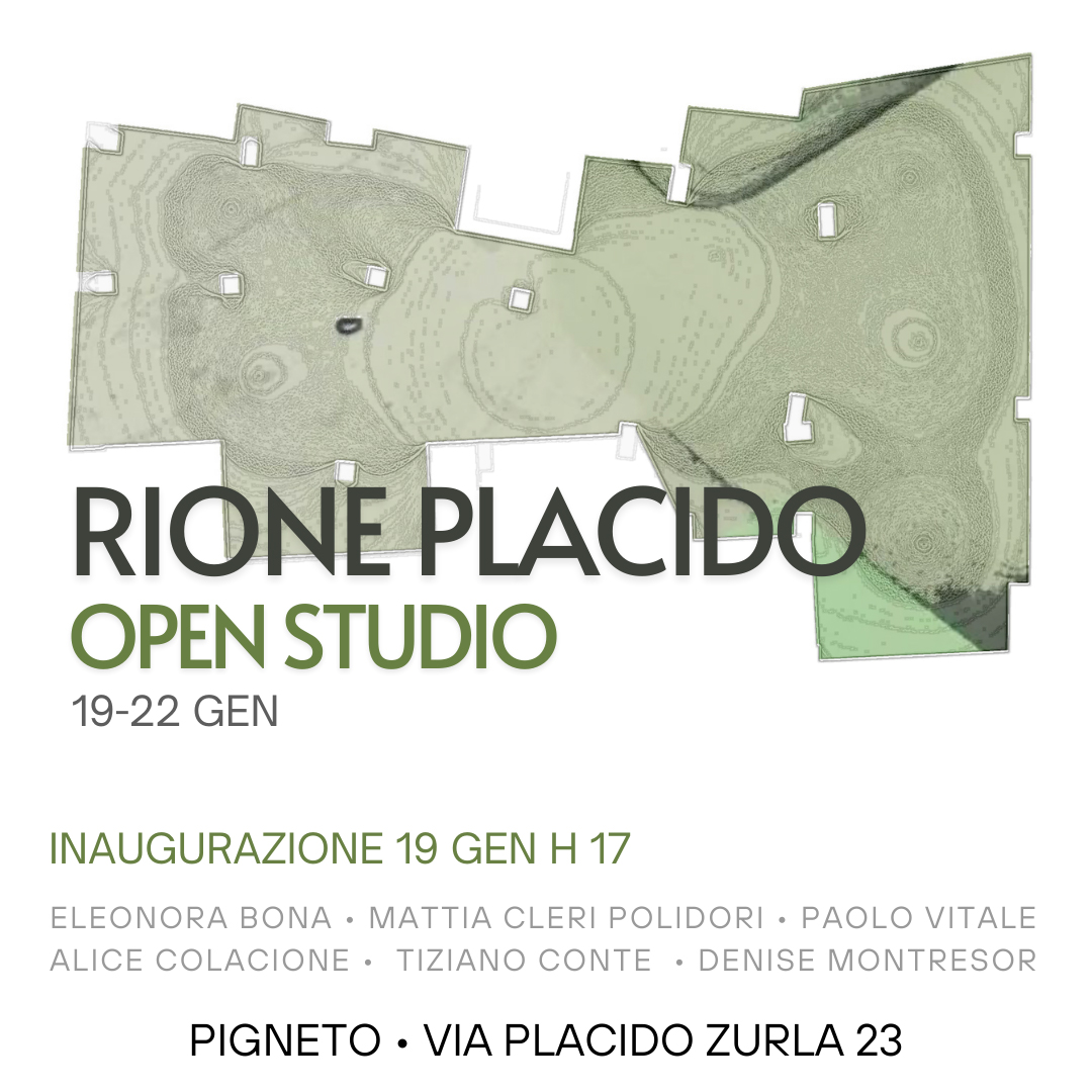 Copia di 19-20 gennaio h. 17-21 21-22 gennaio h. 11-21 - 12