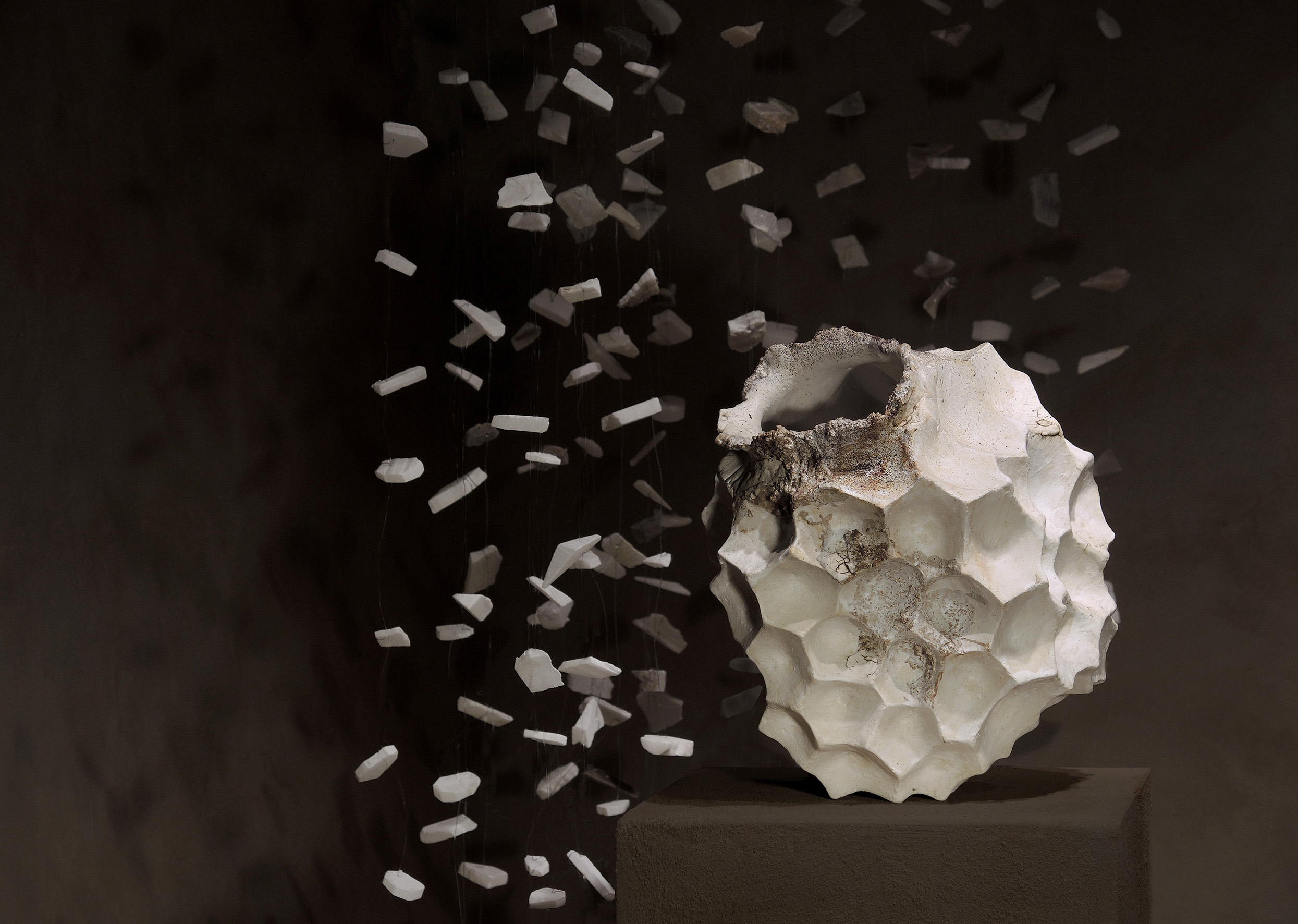 SEEDS _ SEMI photo courtesy of Kalpa