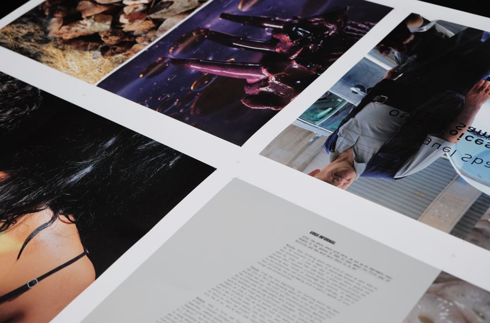 Salgemma magazine Issue 01