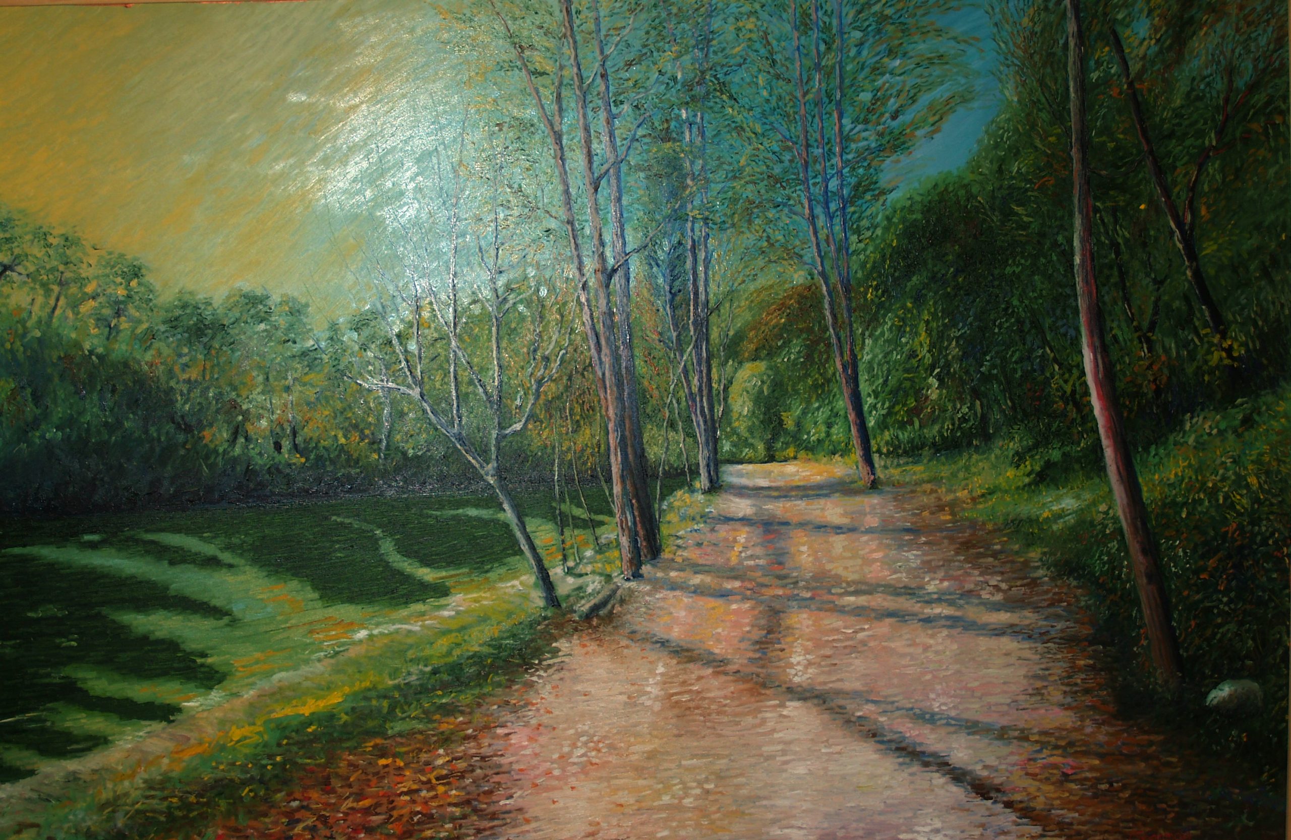 OLYMPUS DIGITAL CAMERA