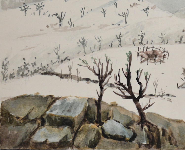 Screenshot 2024-05-07 alle 15.17.36