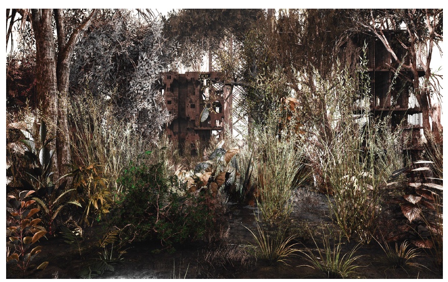 Secret Garden 10 60*120