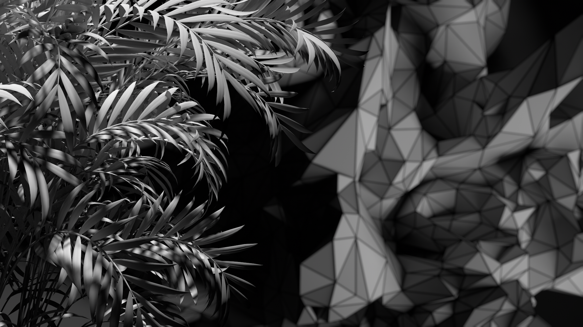 Simbiosi - Leandro Summo