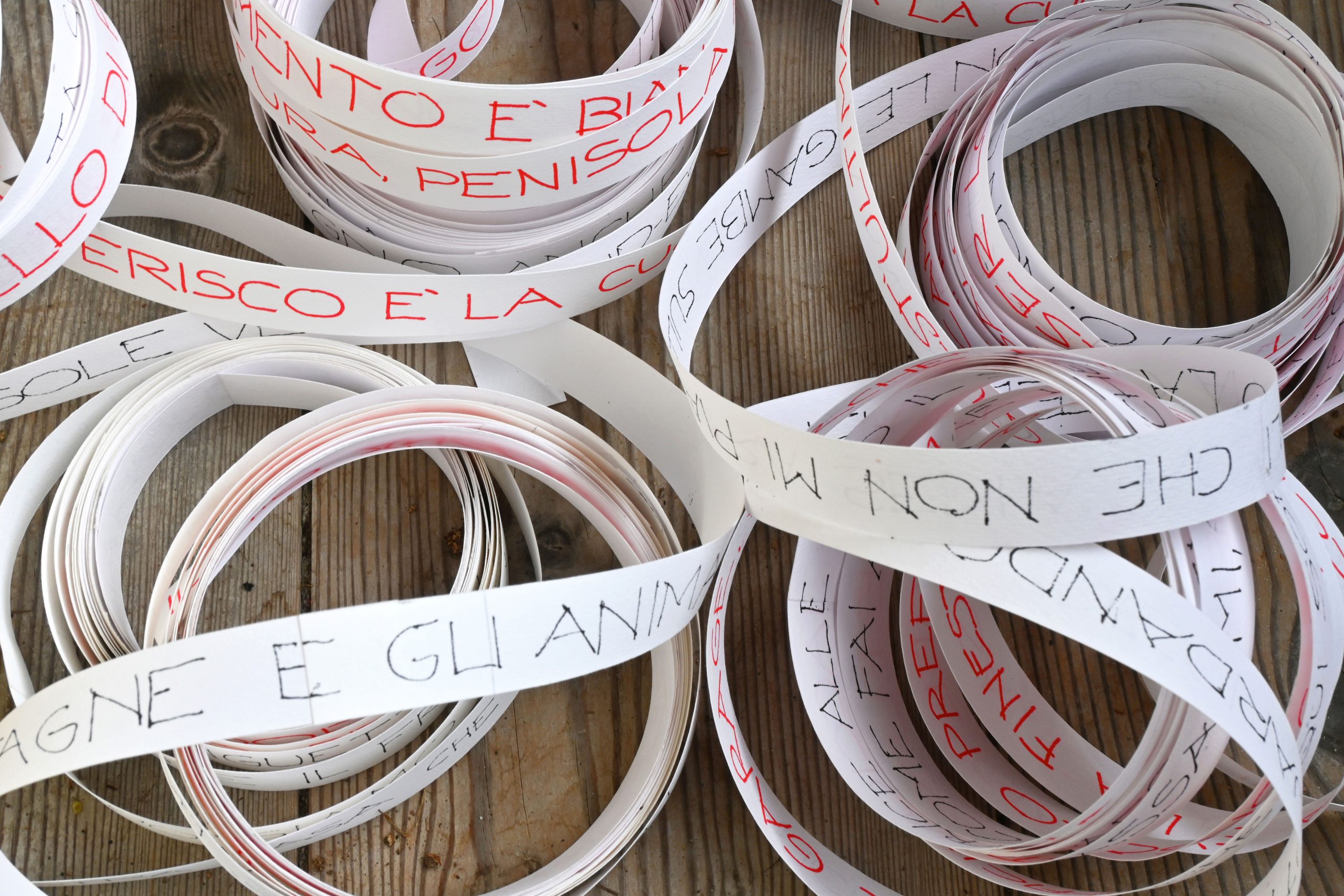 Sonia-Arienta-Nidi,-nodi-fluidi-Nidi-I