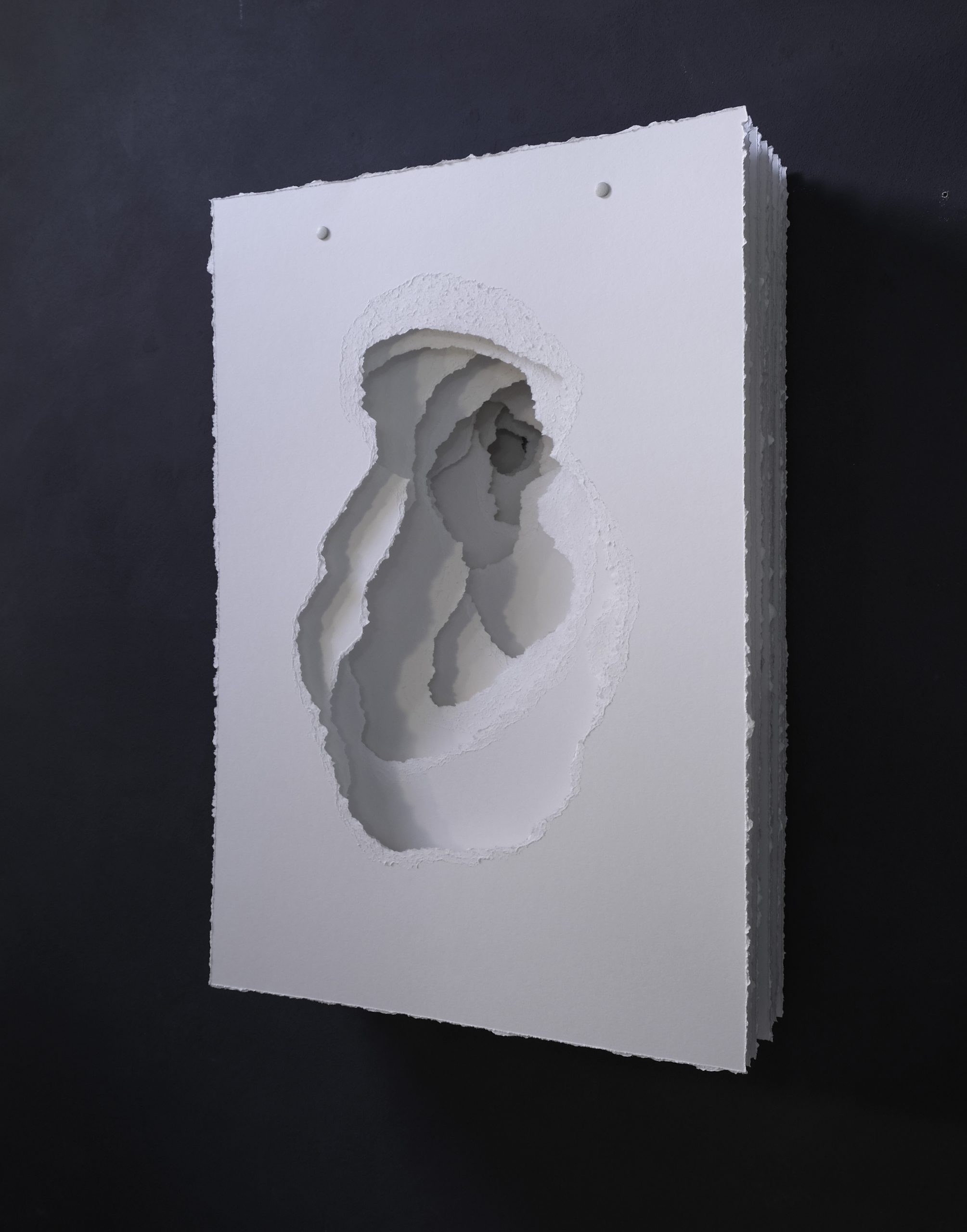 Terforation-2019-037