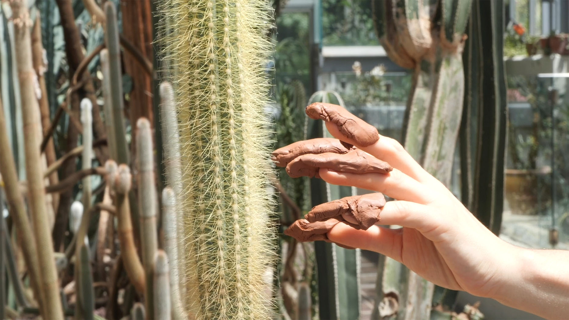 The Missing Majority_Mercedes Azpilicueta, Mama’s Casting a Spell, 2019