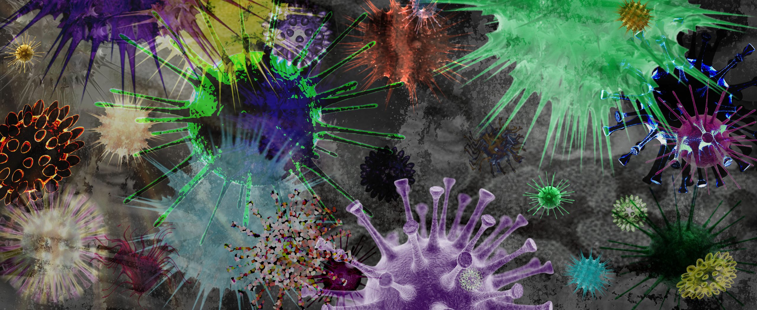 Through the Micro World From Quarks to Multiverse