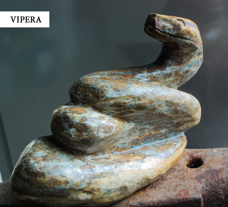 Vipera - cecilia_martin_birsa_scultrice