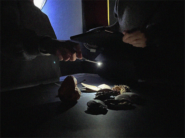 essere_meno_labo02 bassa ris_0006_Sfondo copia