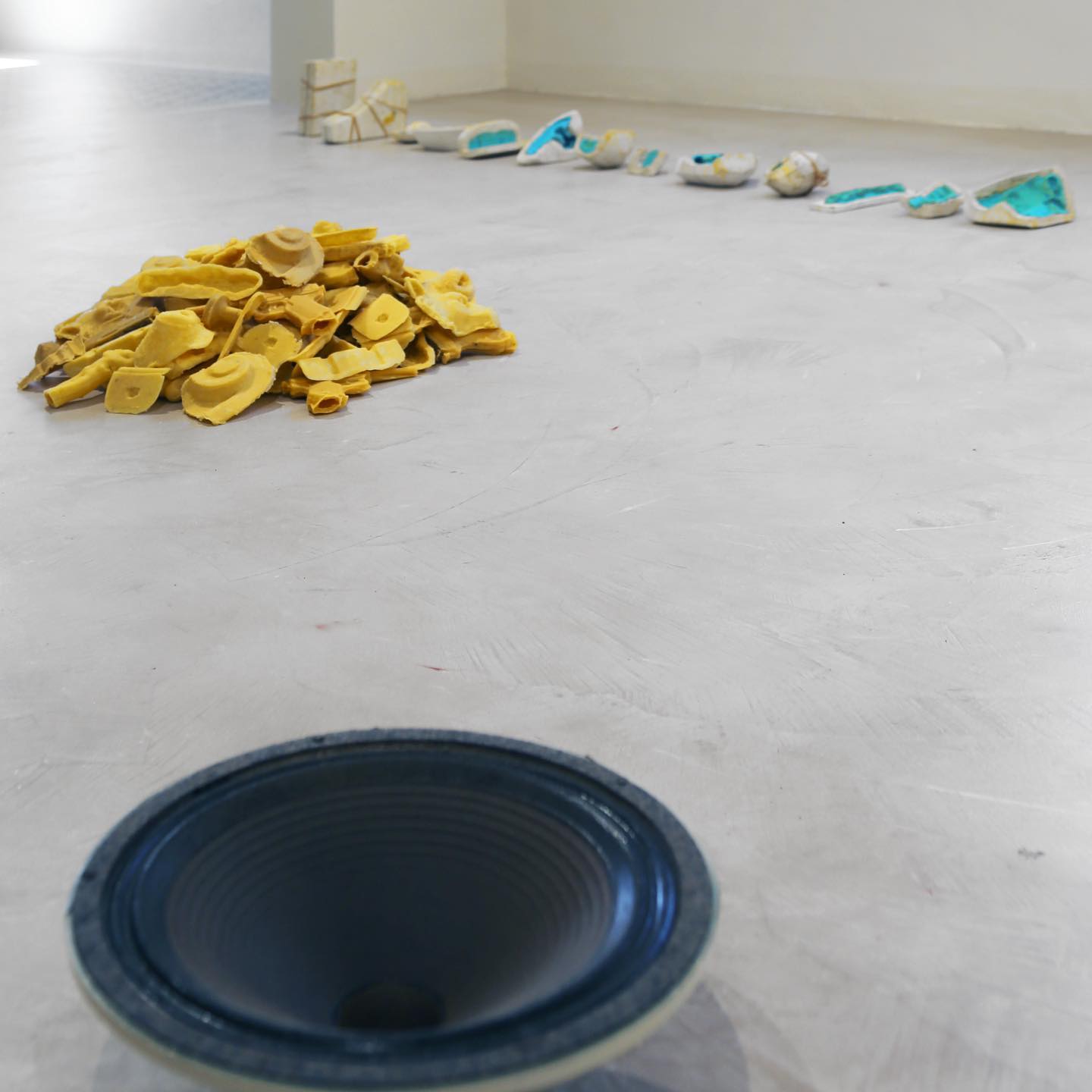 foto per comunicato mostra