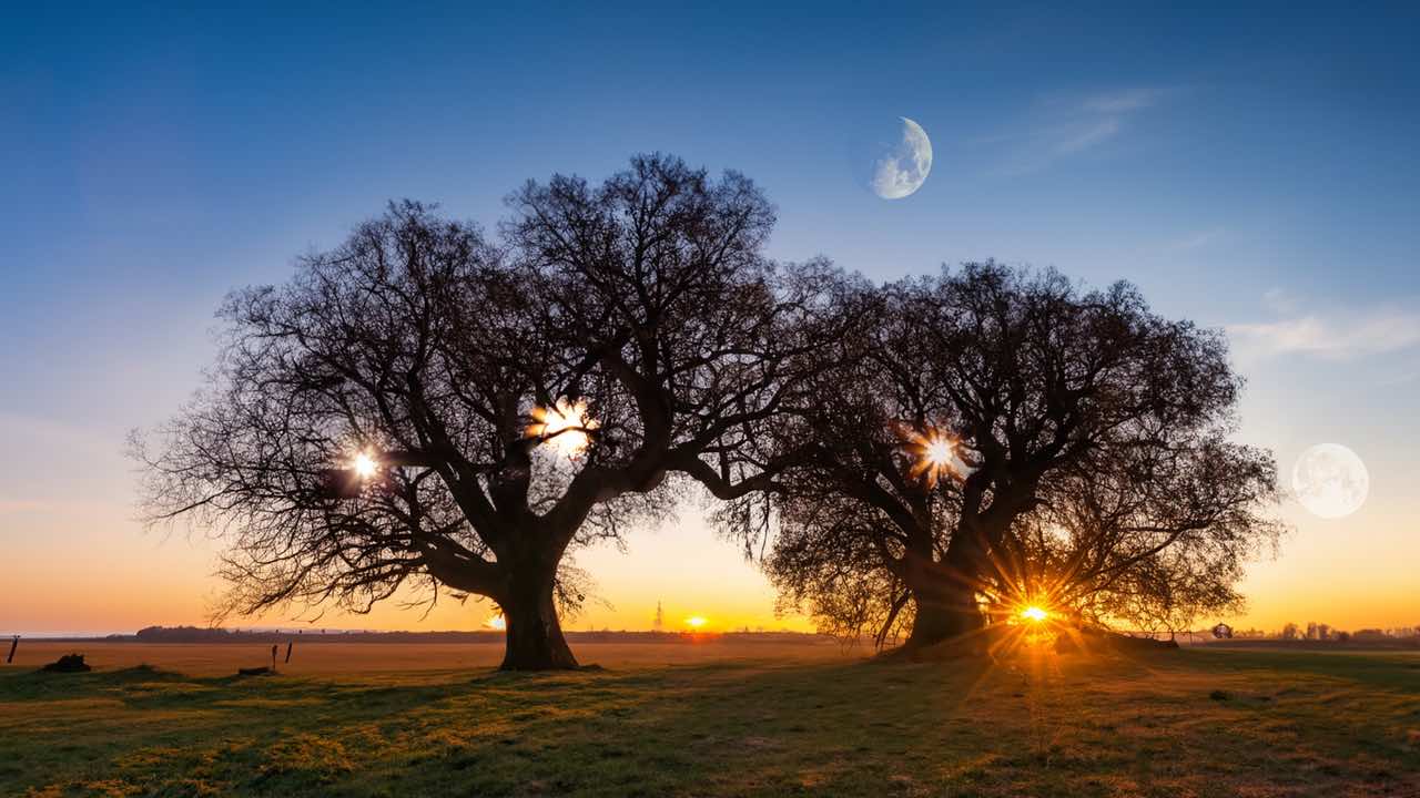 immagine creata dall'Intelligenza Artificiale